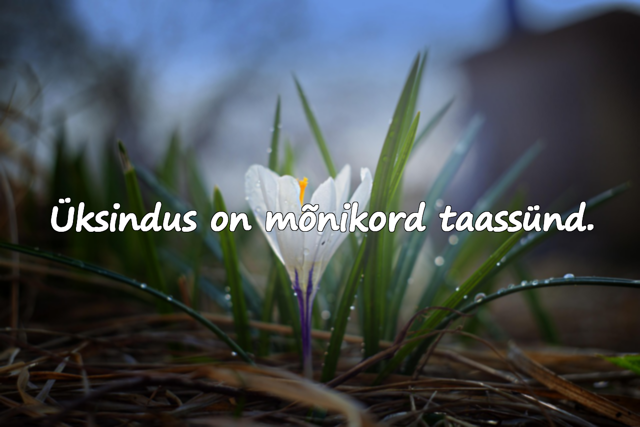 Ilusad tsitaadid üksindusest