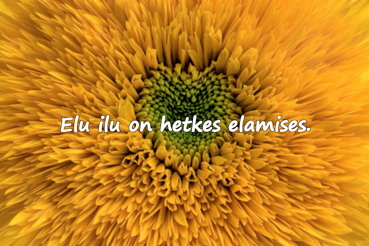 Ilusad tsitaadid elamisest