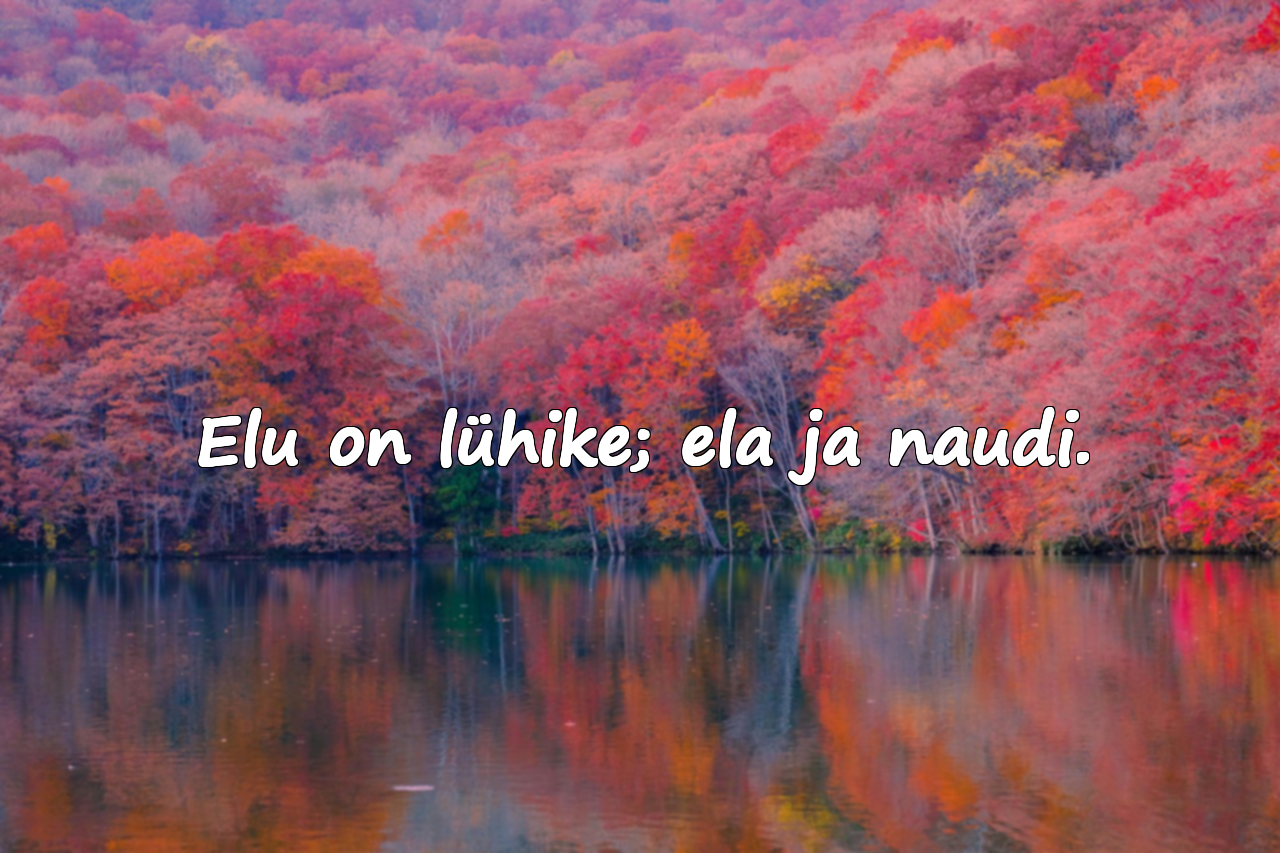 Ilusad tsitaadid elamisest