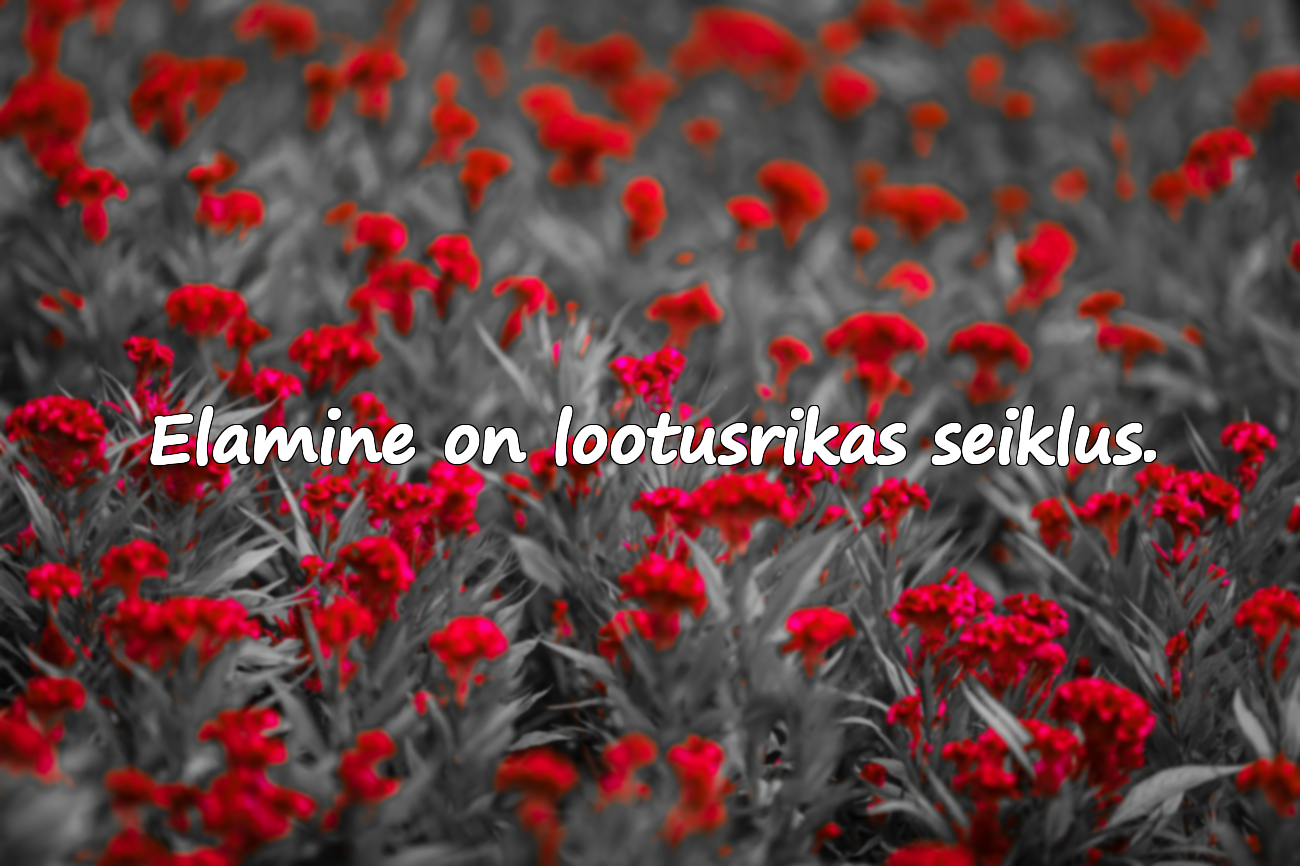 Ilusad tsitaadid elamisest
