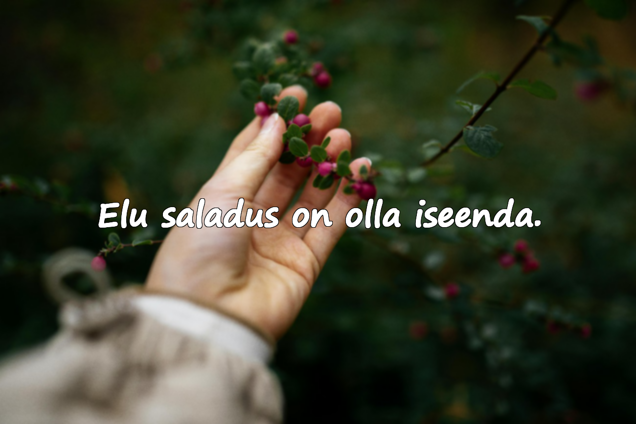 Ilusad tsitaadid elust