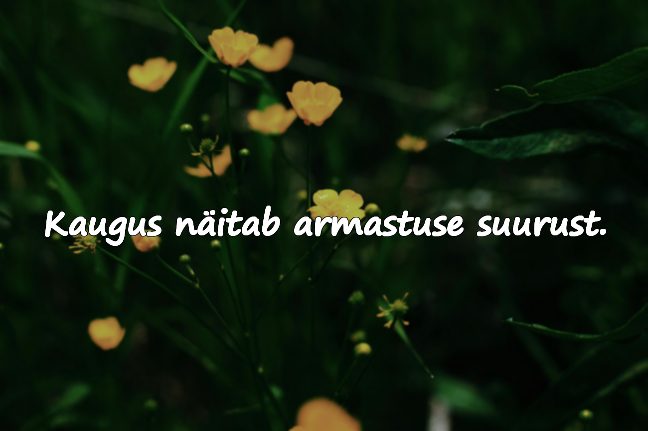 Ilusad tsitaadid kaugelt armastamisest