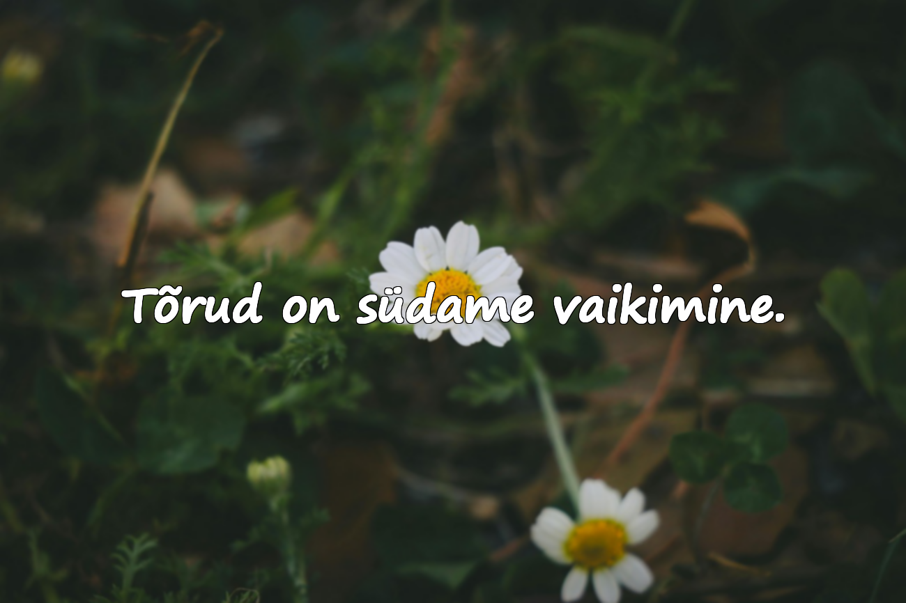 Ilusad tsitaadid kurbuse kohta