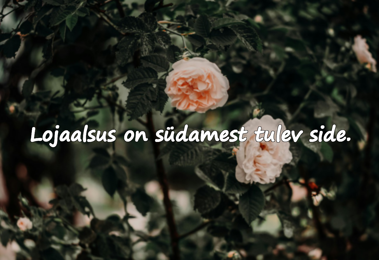 Ilusad tsitaadid lojaalsusest