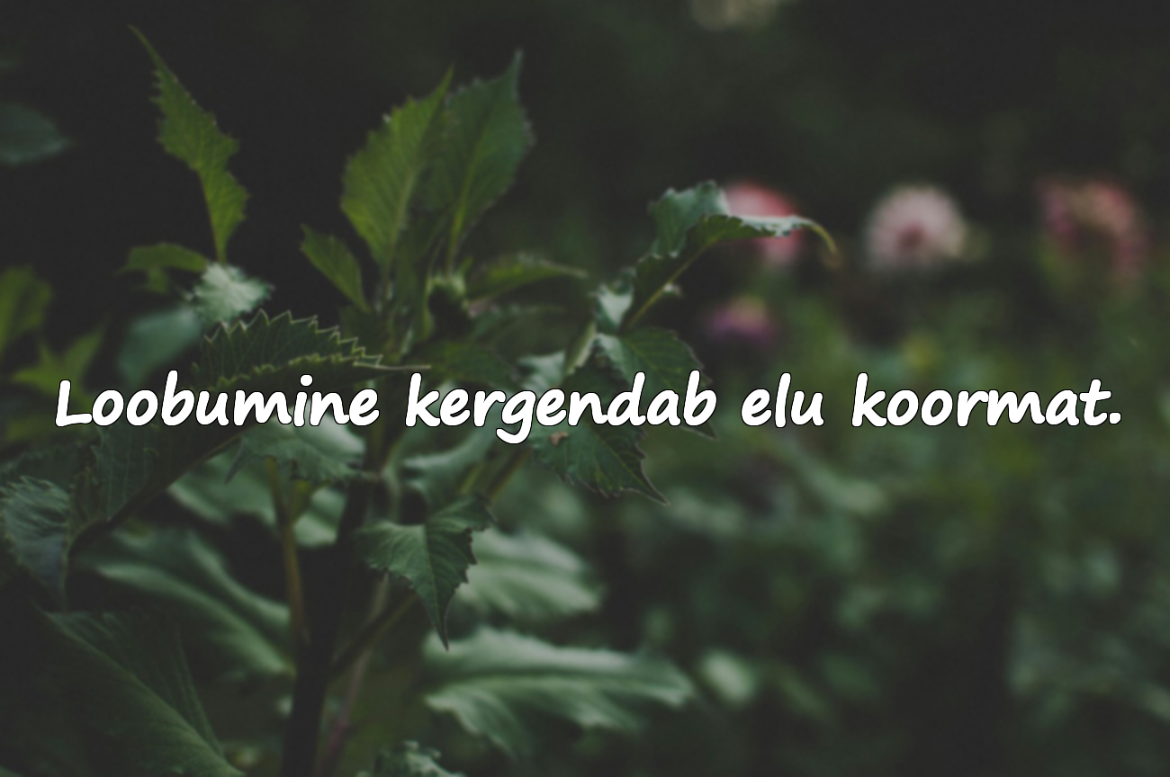 Ilusad tsitaadid loobumise kohta