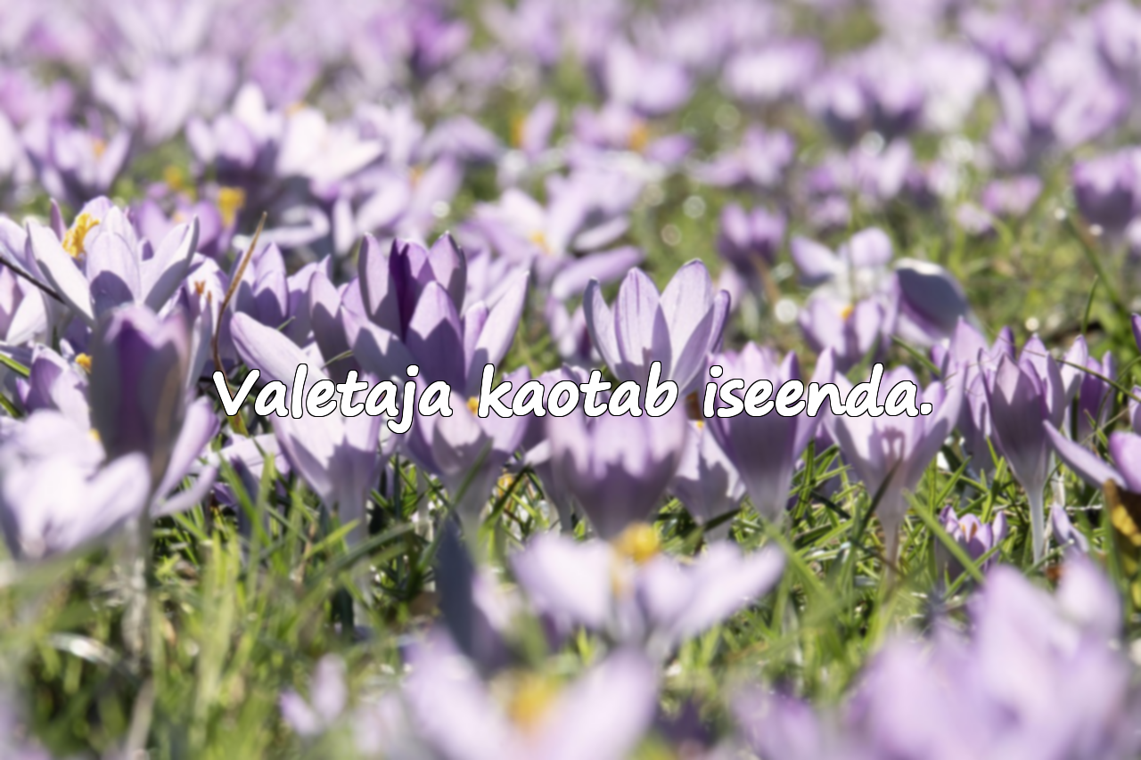 Ilusad tsitaadid valetamise kohta