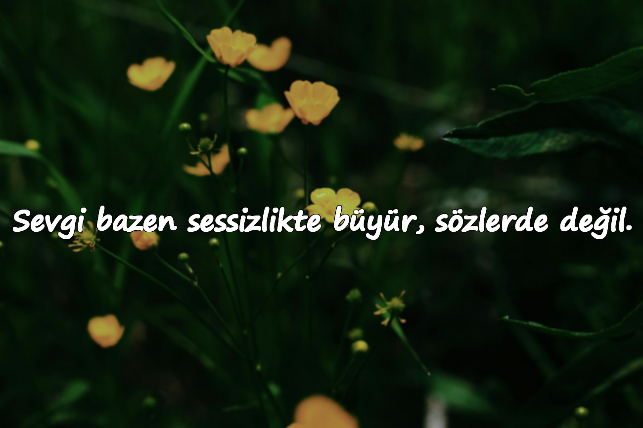 Sevgi bazen sessizlikte büyür, sözlerde değil.