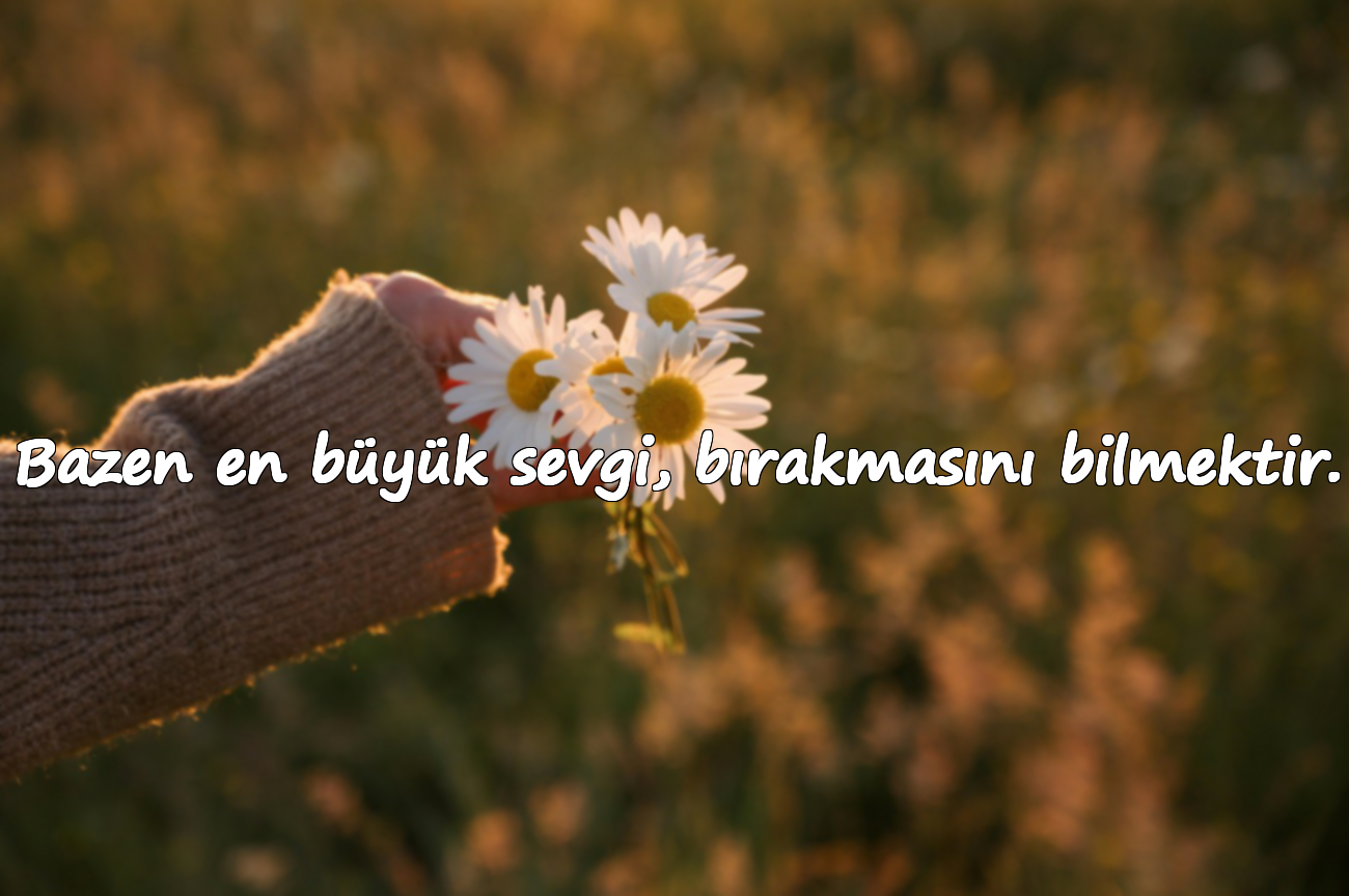 Bazen en büyük sevgi, bırakmasını bilmektir.