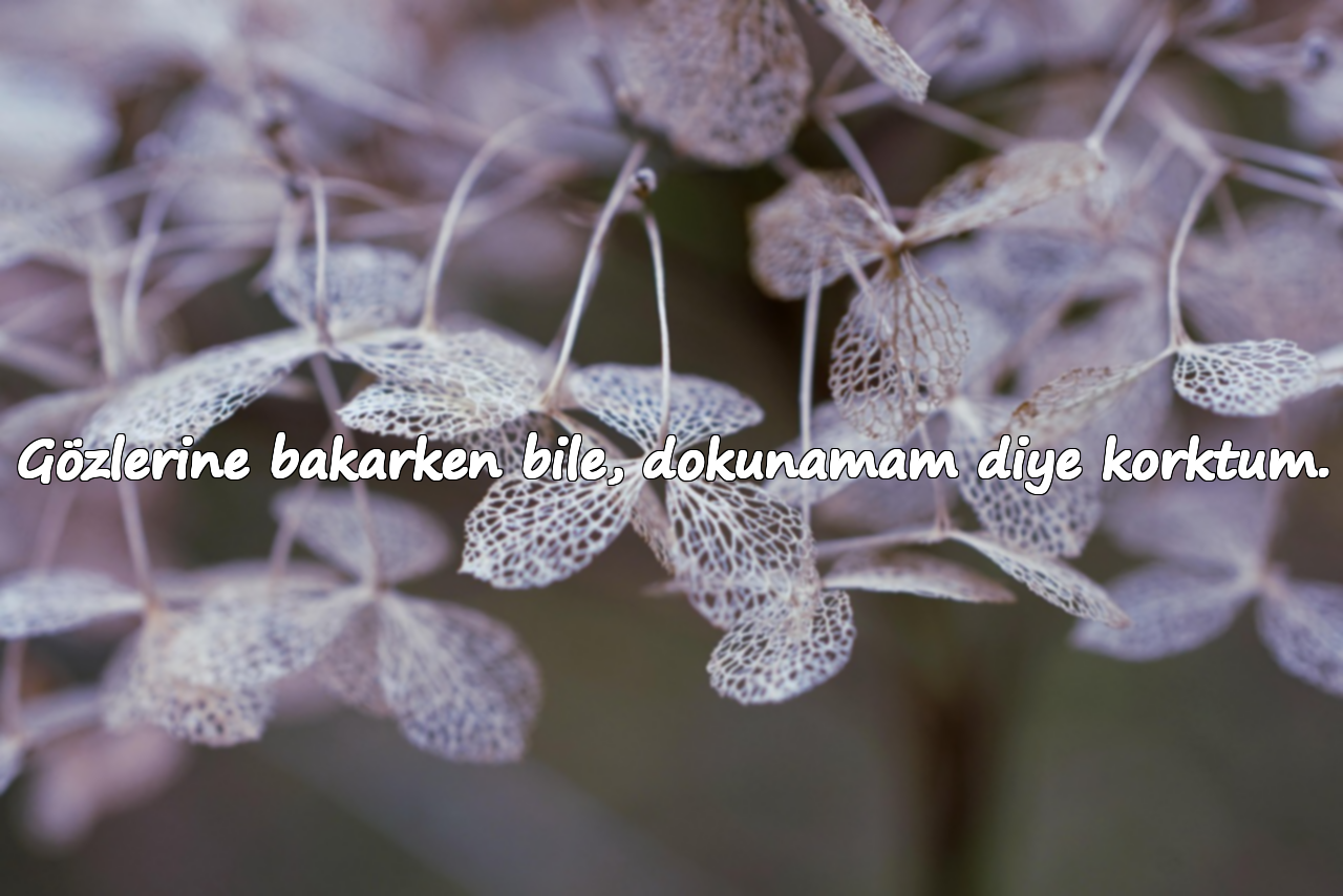 Gözlerine bakarken bile, dokunamam diye korktum.
