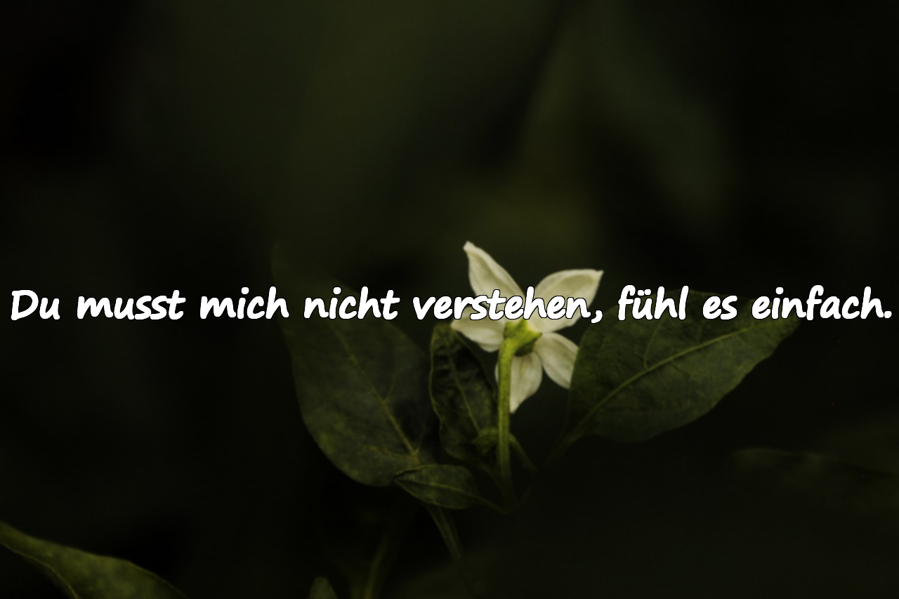 Du musst mich nicht verstehen, fühl es einfach.