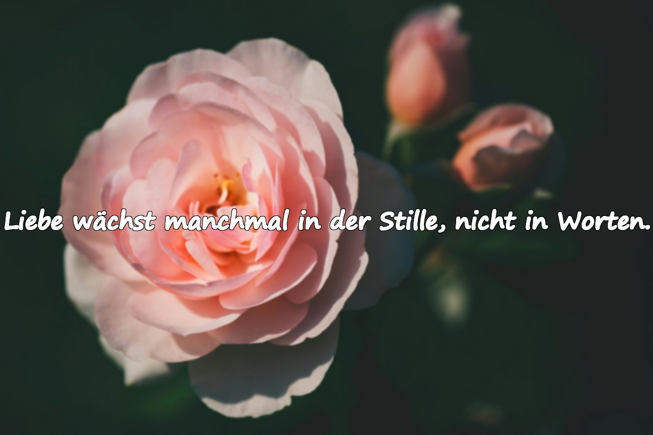Liebe wächst manchmal in der Stille, nicht in Worten.