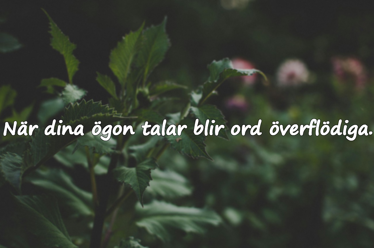 Implikta kärlekscitater