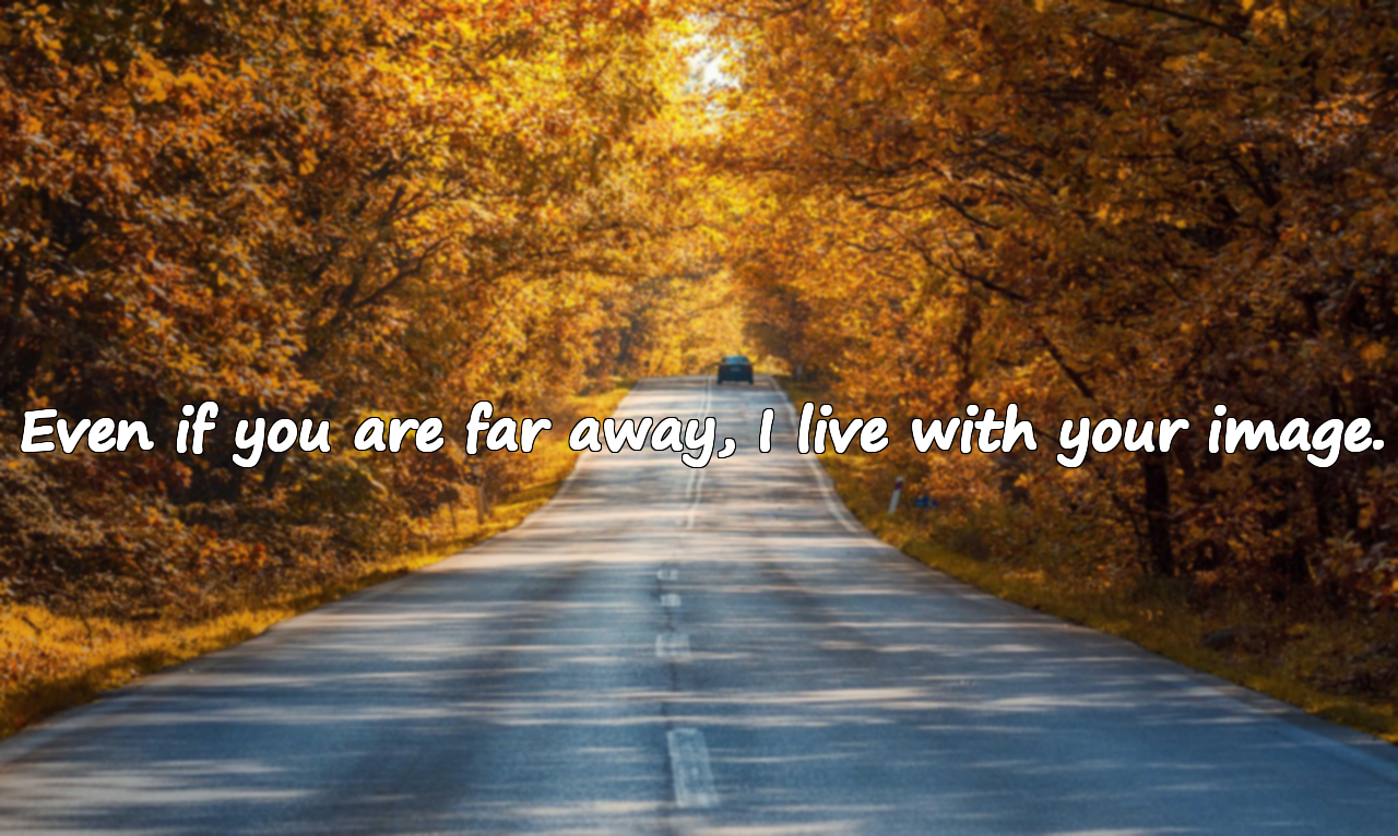 Impossible Love Quotes