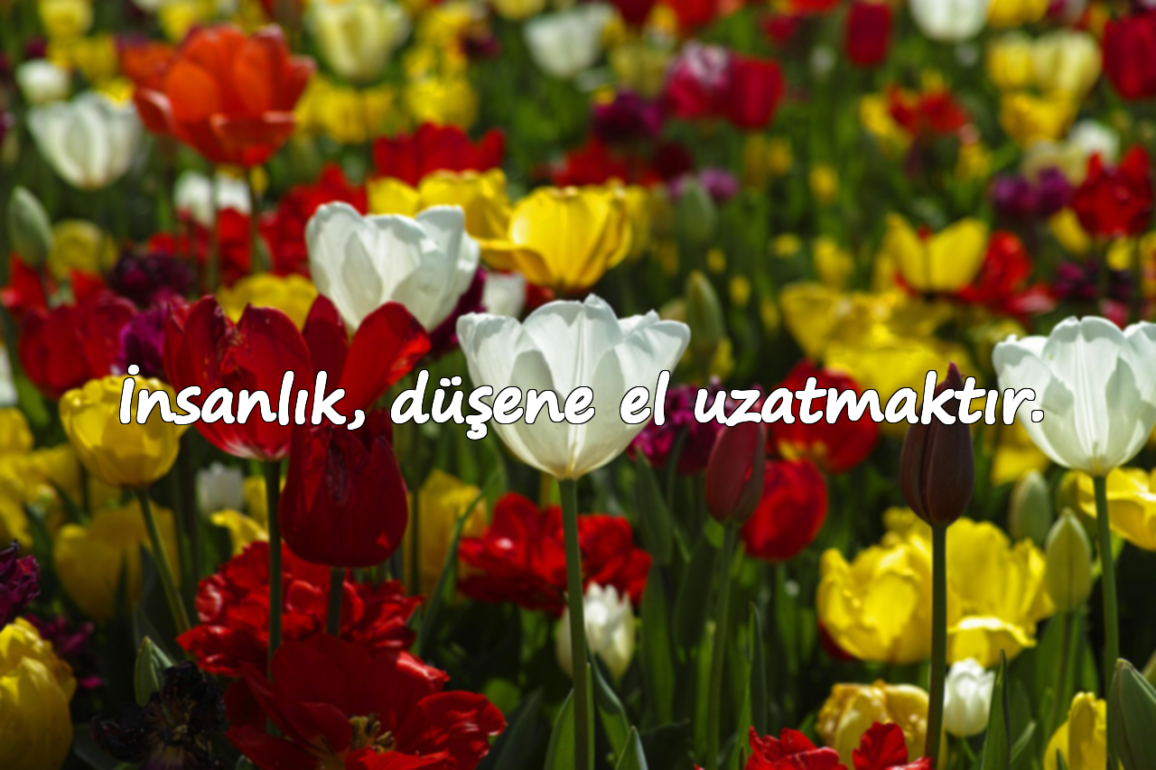 İnsanlık, düşene el uzatmaktır.