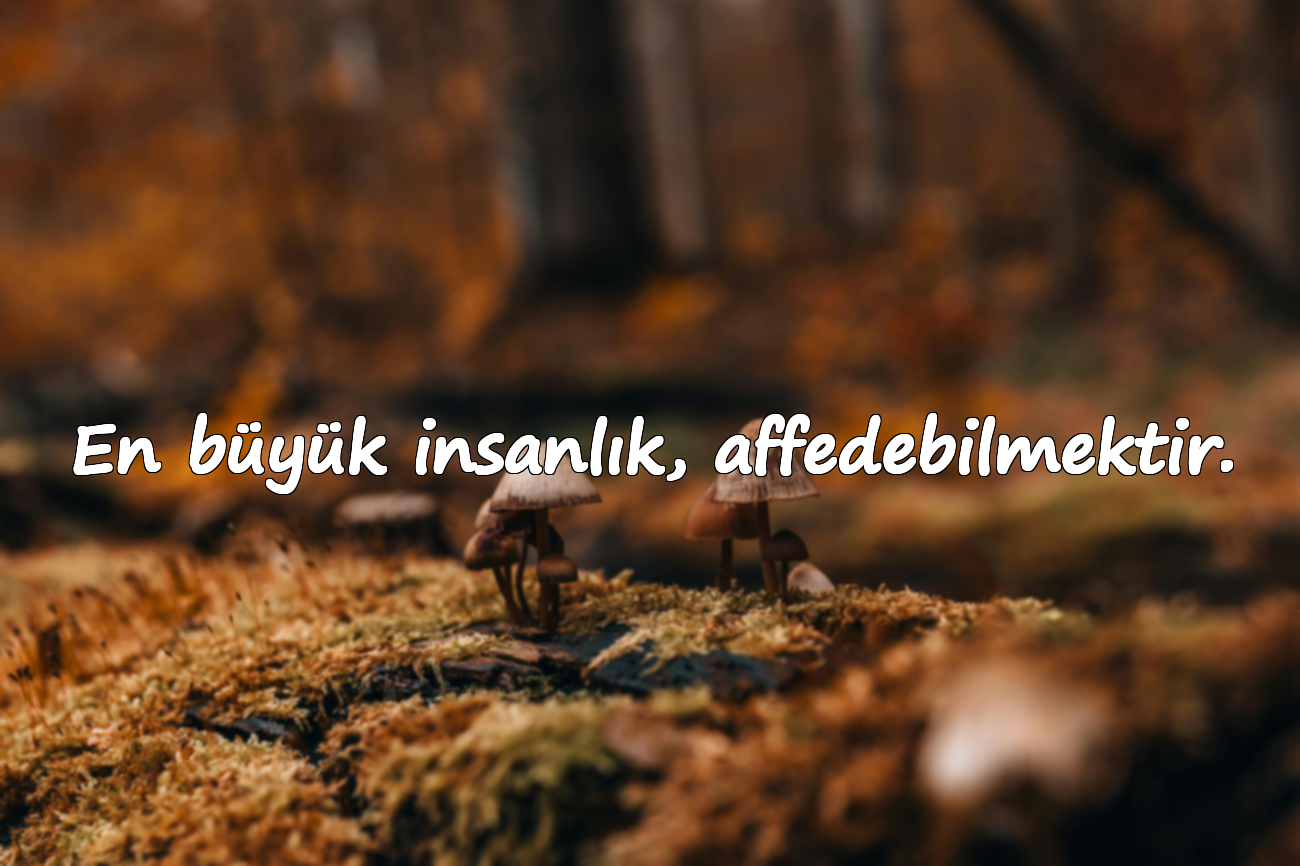 En büyük insanlık, affedebilmektir.