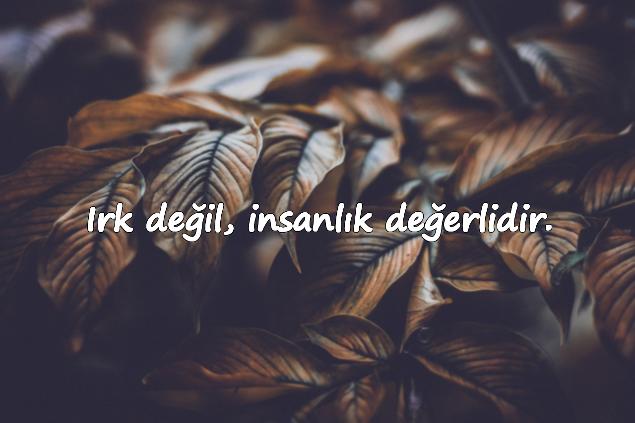 Irk değil, insanlık değerlidir.