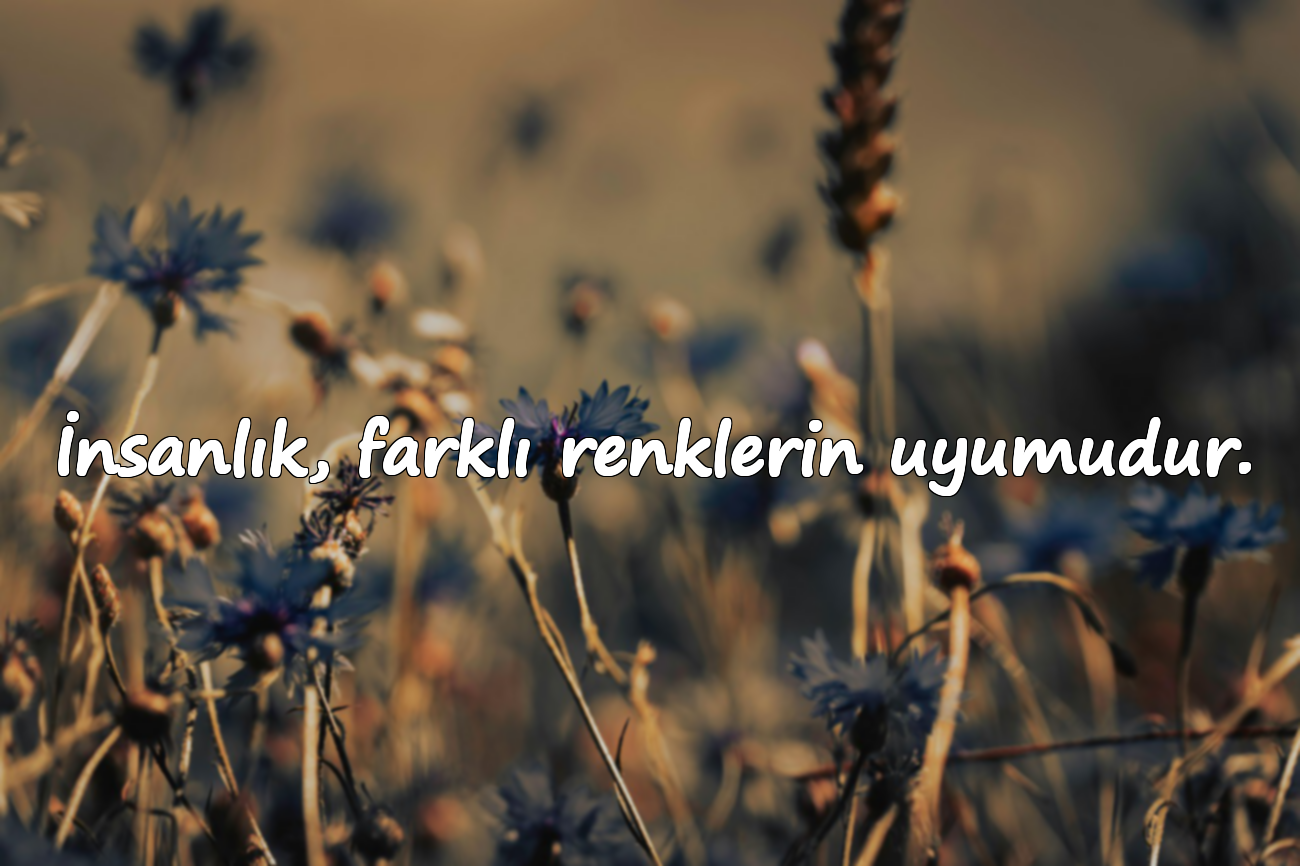 İnsanlık, farklı renklerin uyumudur.