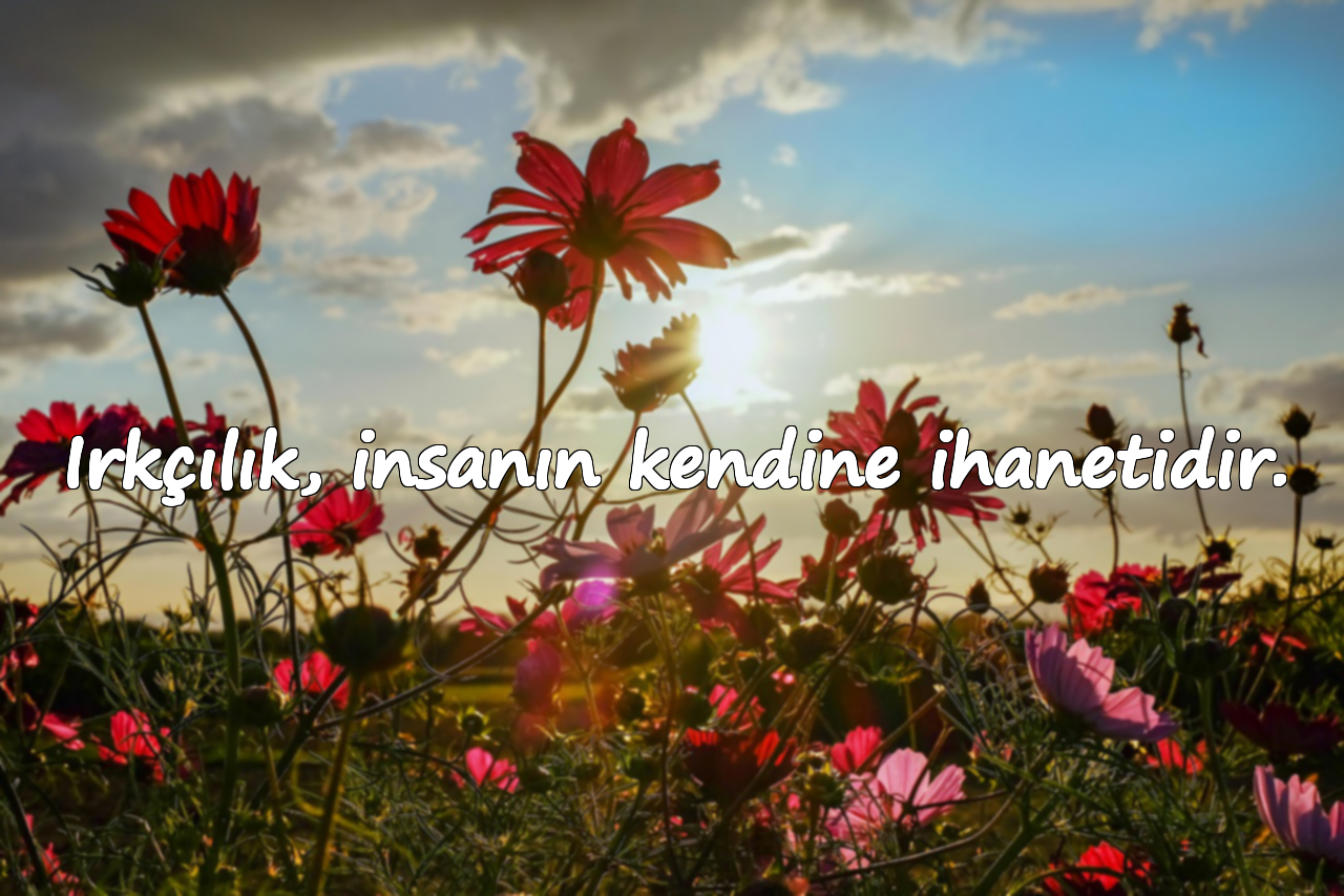Irkçılık, insanın kendine ihanetidir.