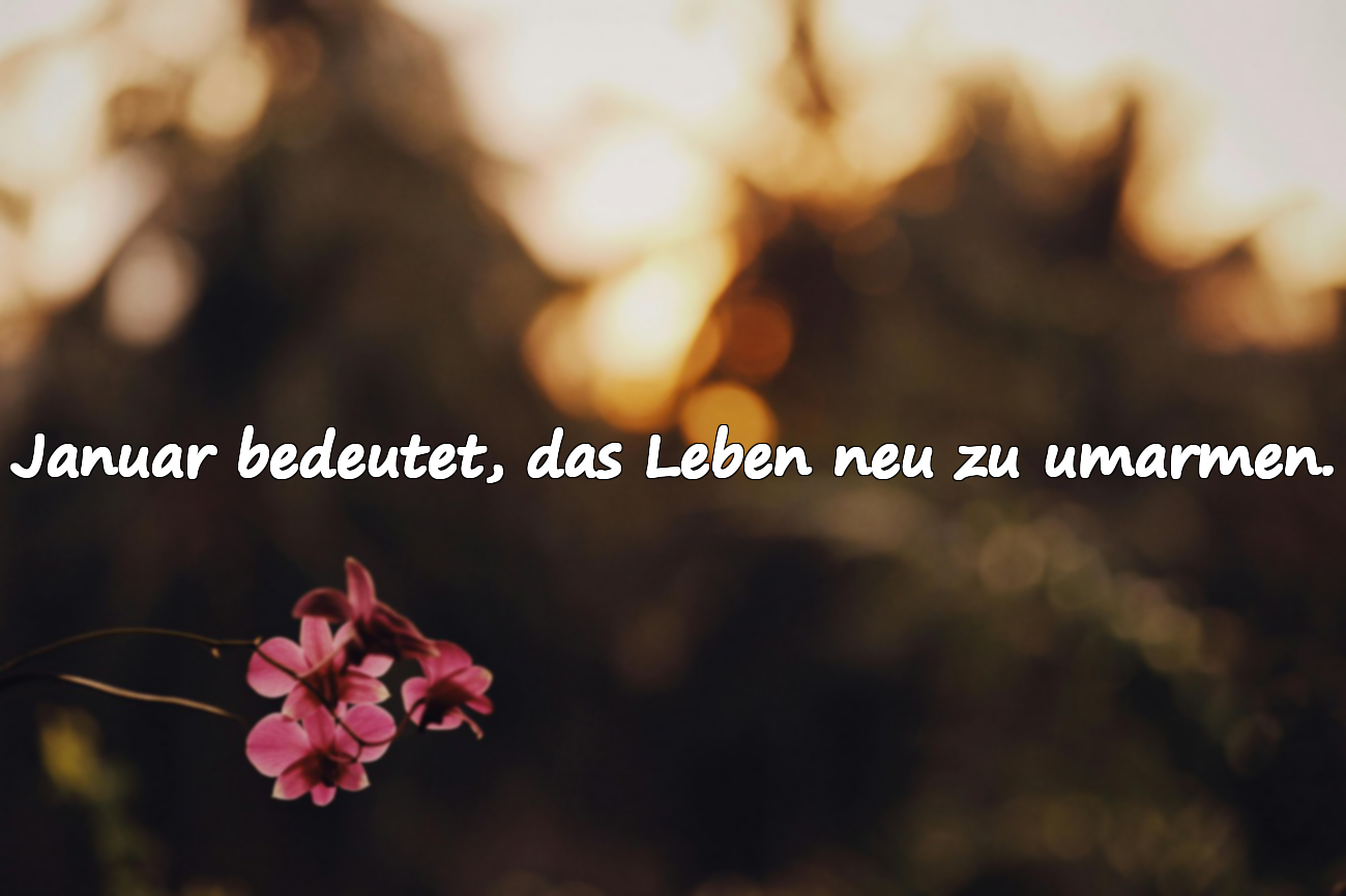 Januar Sprüche