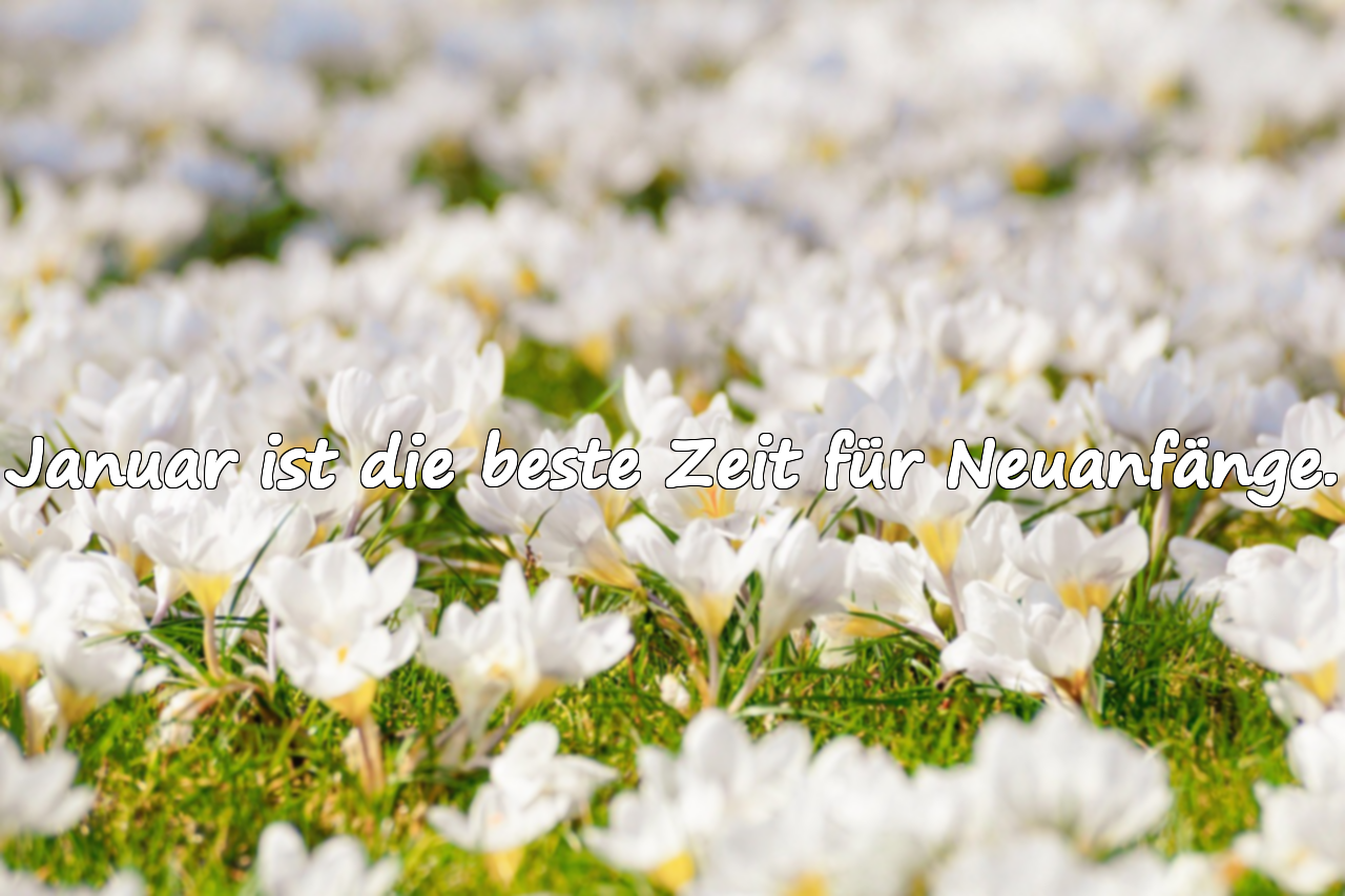 Januar Sprüche