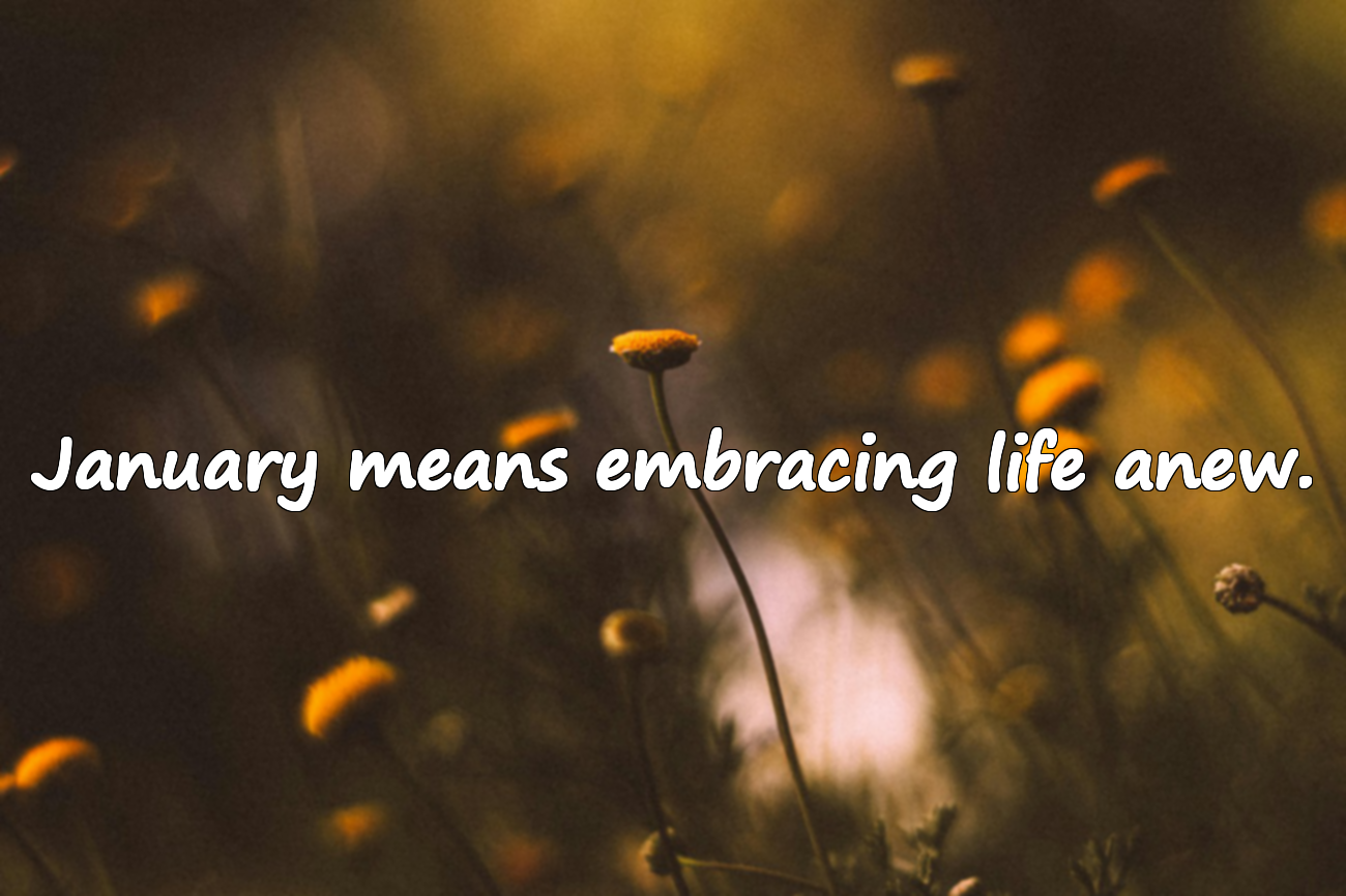 January Quotes