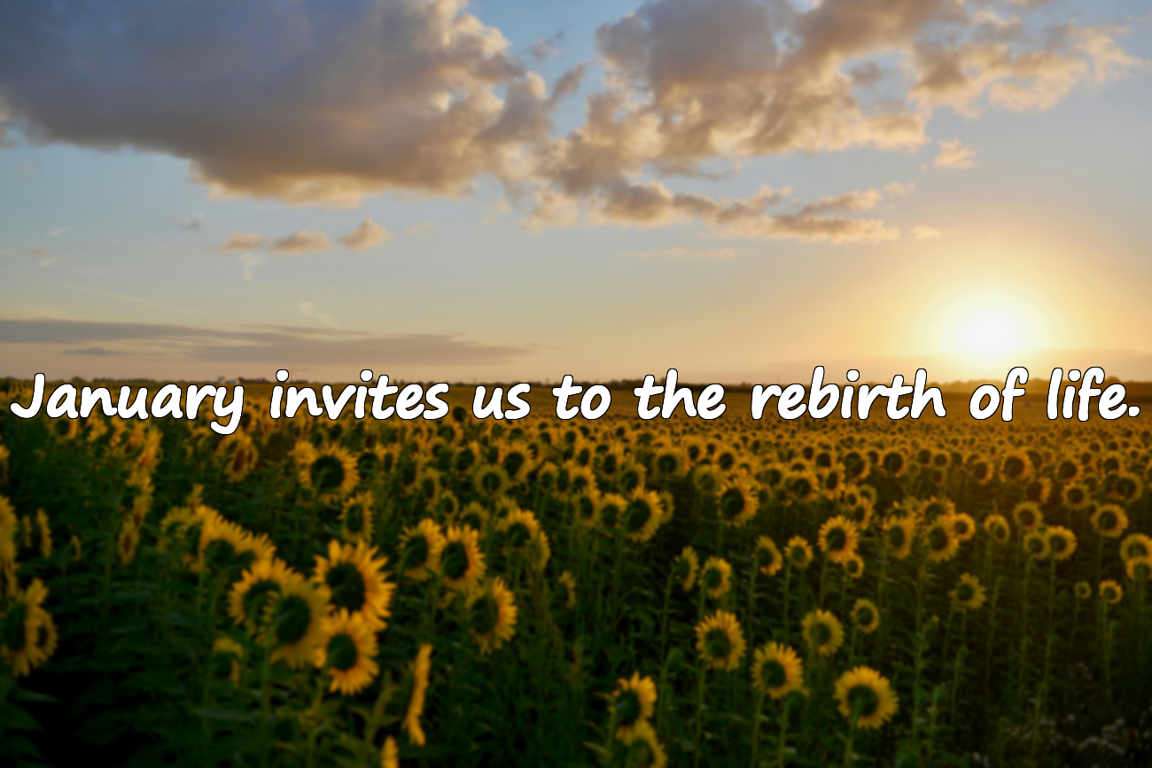 January Quotes