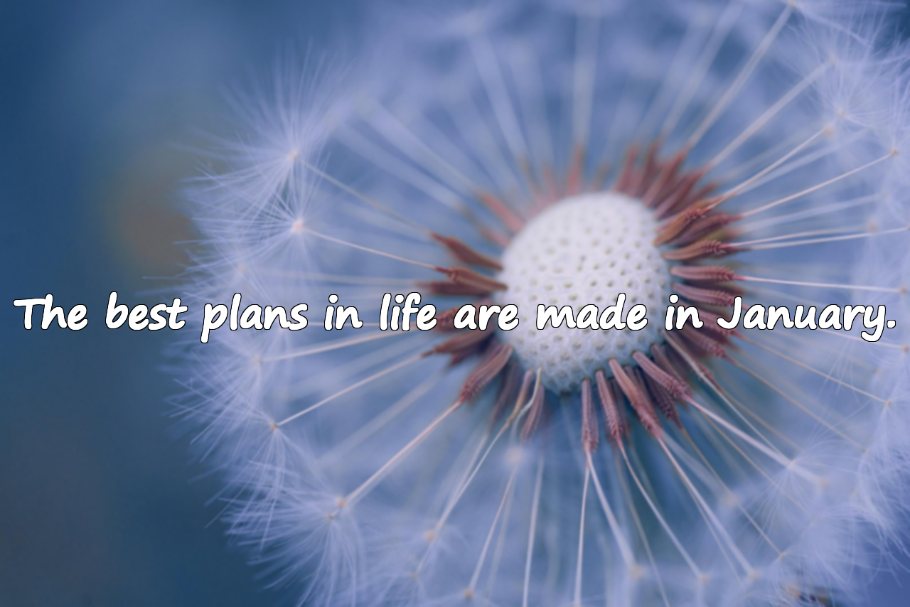 January Quotes