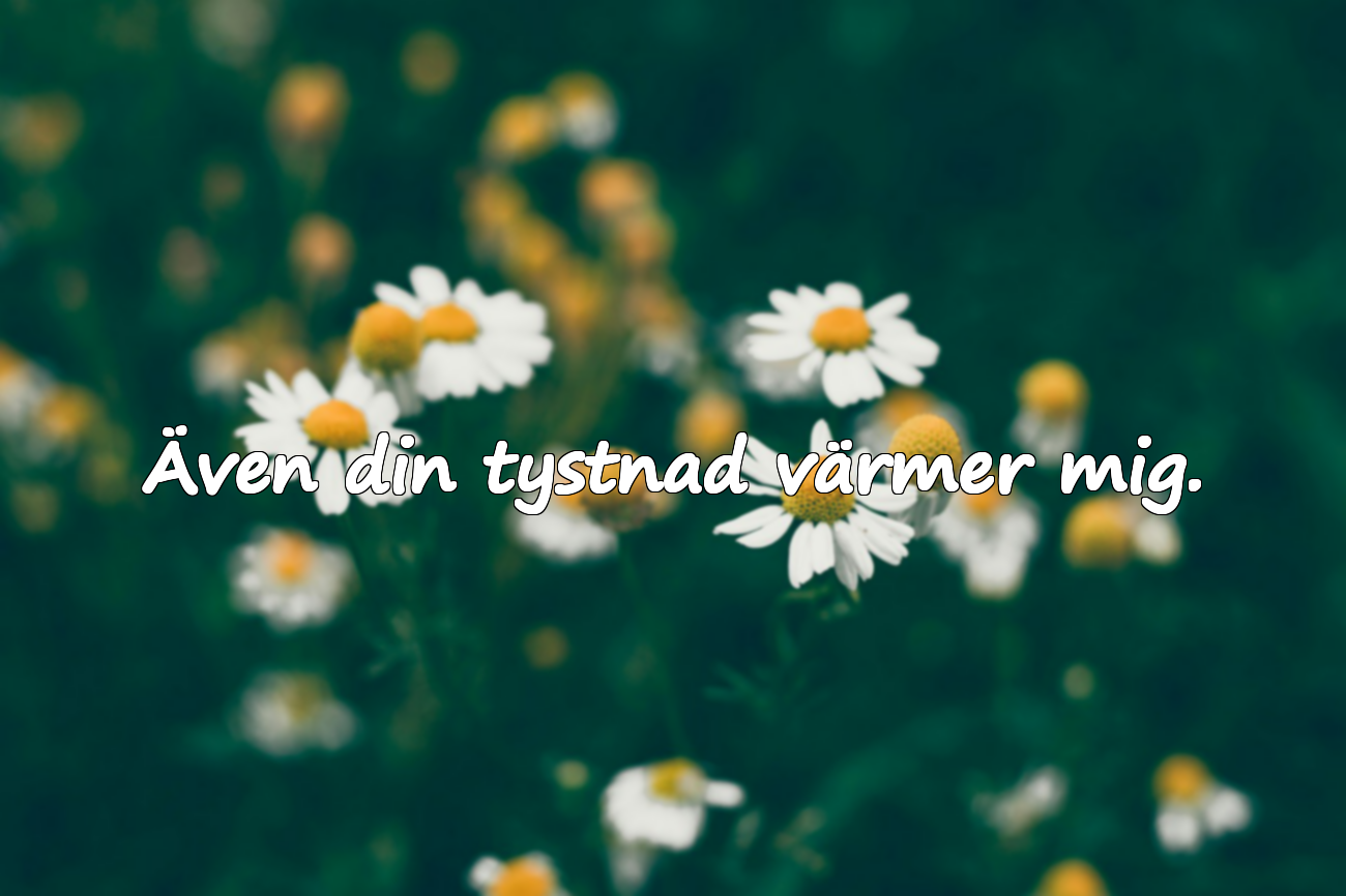 Känslosamma Kärlekscitat