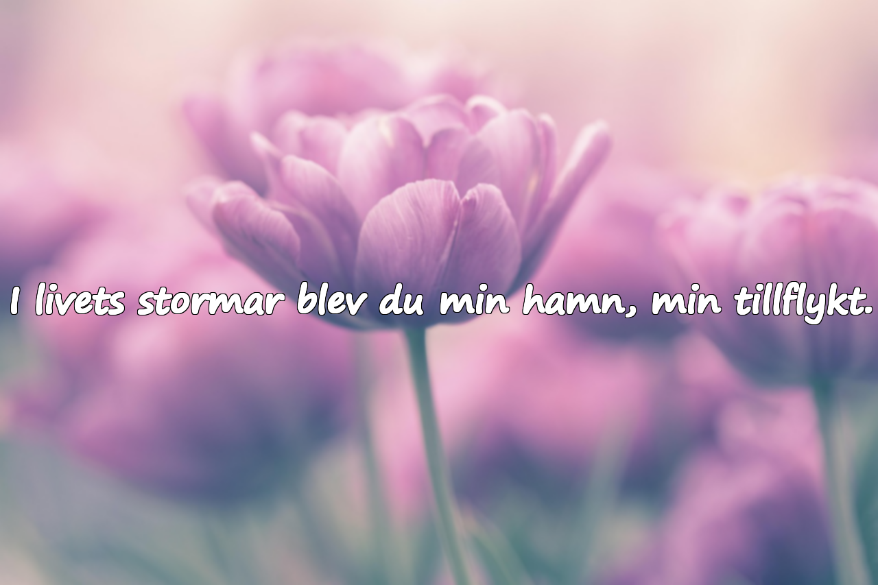 Känslosamma vackra ord för makar