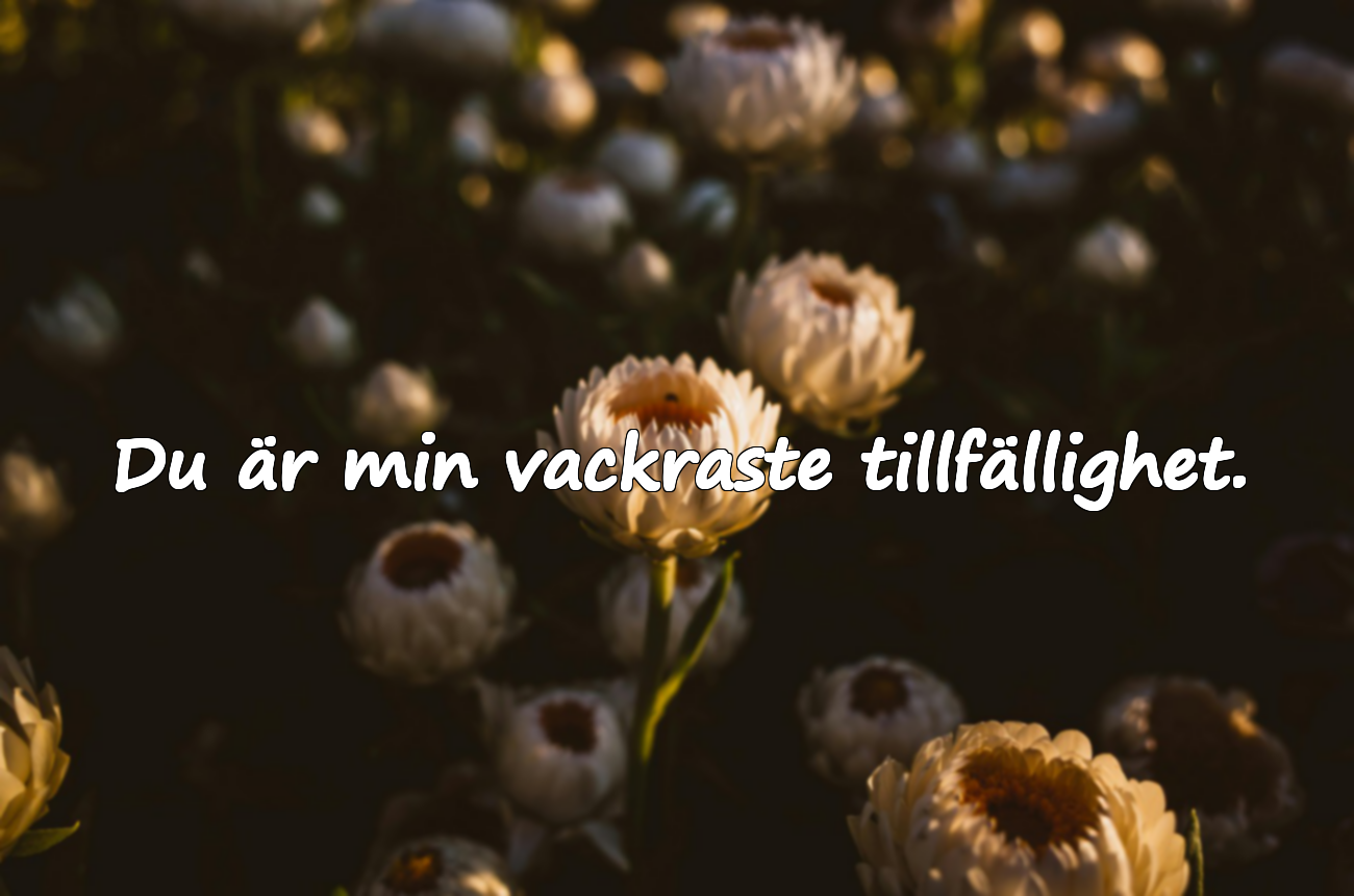 Kärlekscitat för älskaren