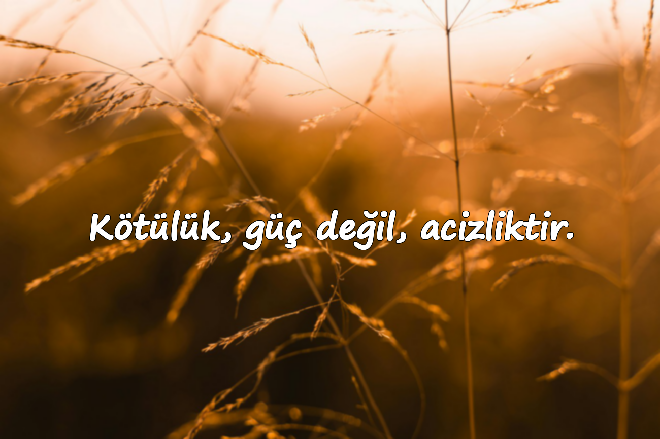 Kötülük ile İlgili Sözler