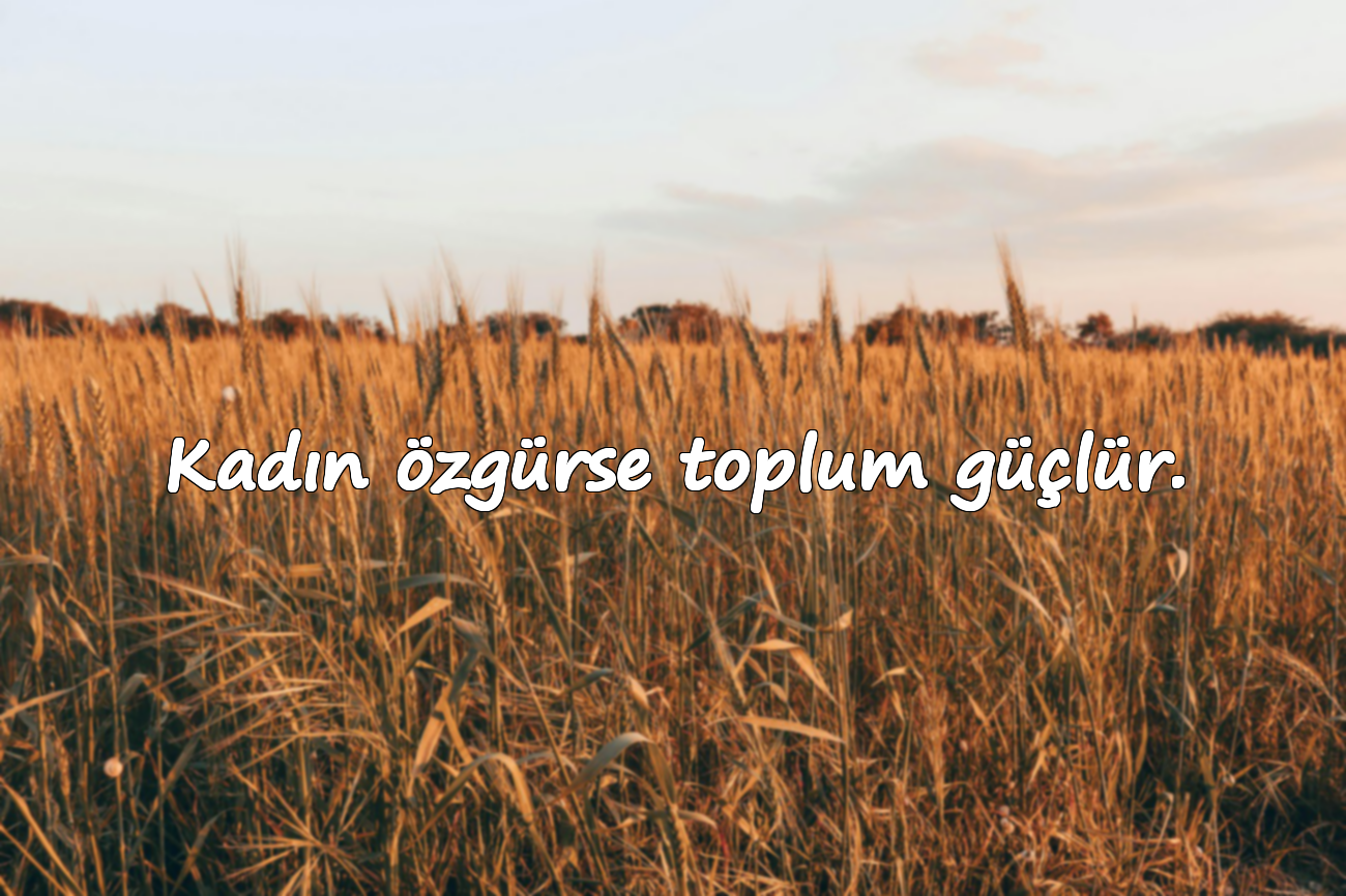 Kadın özgürse toplum güçlür.
