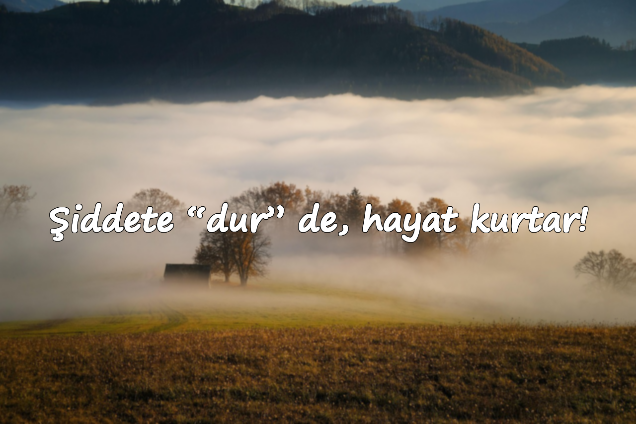 Şiddete “dur” de, hayat kurtar!