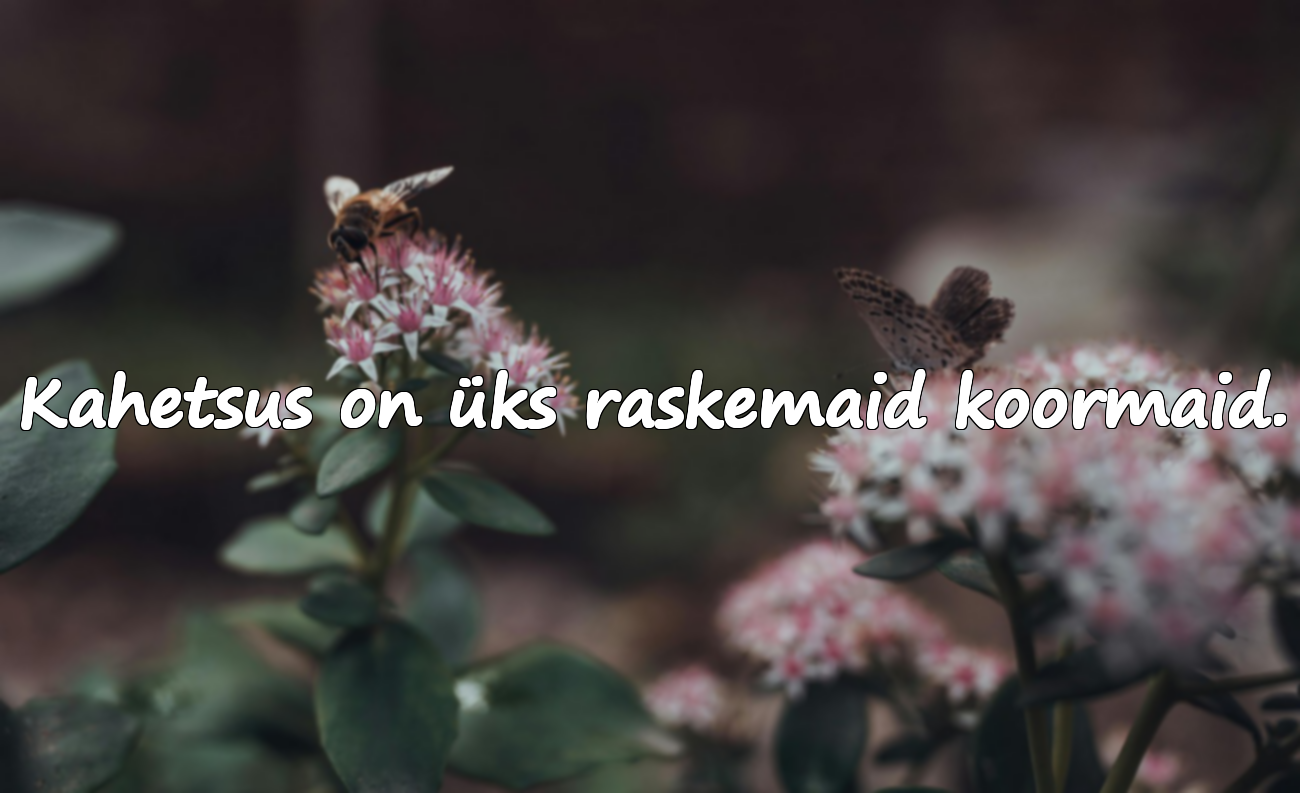 Kahetsussõnad