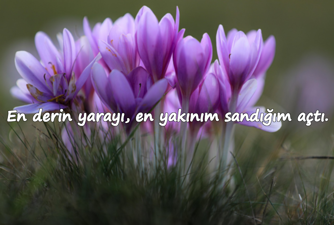 En derin yarayı, en yakınım sandığım açtı.