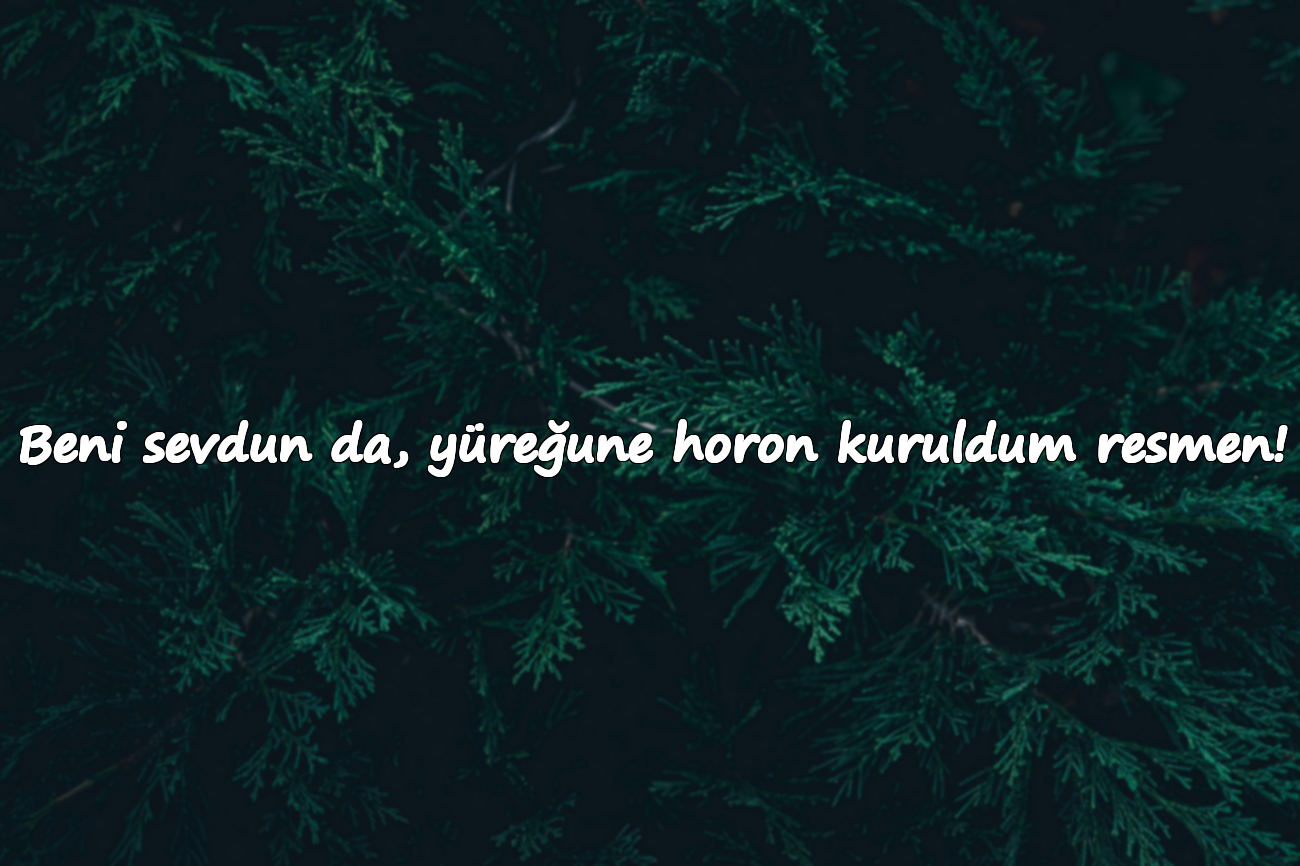 Beni sevdun da, yüreğune horon kuruldum resmen!