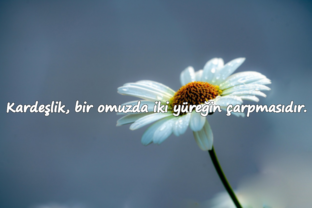Kardeşlik, bir omuzda iki yüreğin çarpmasıdır.