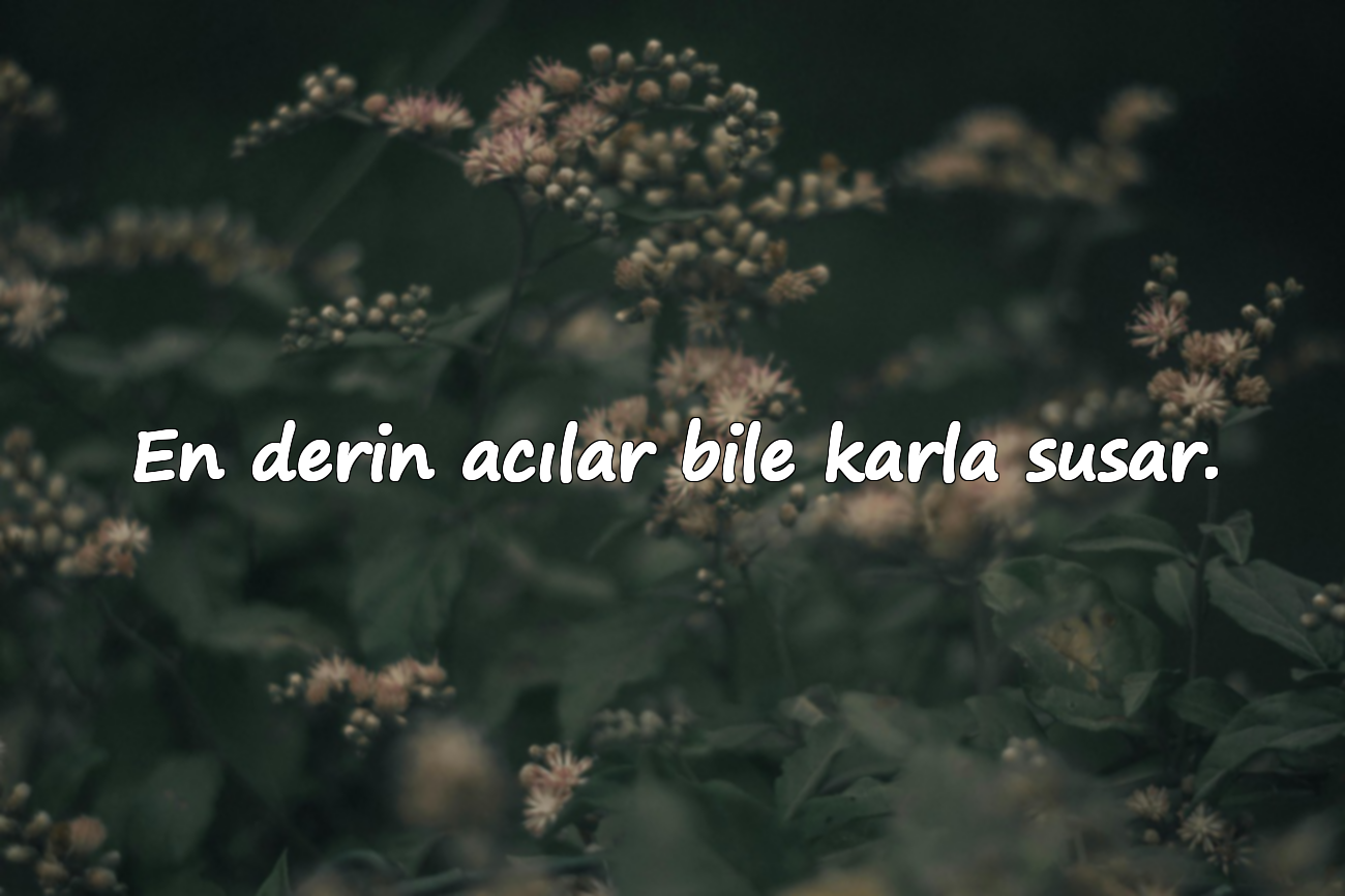 En derin acılar bile karla susar.