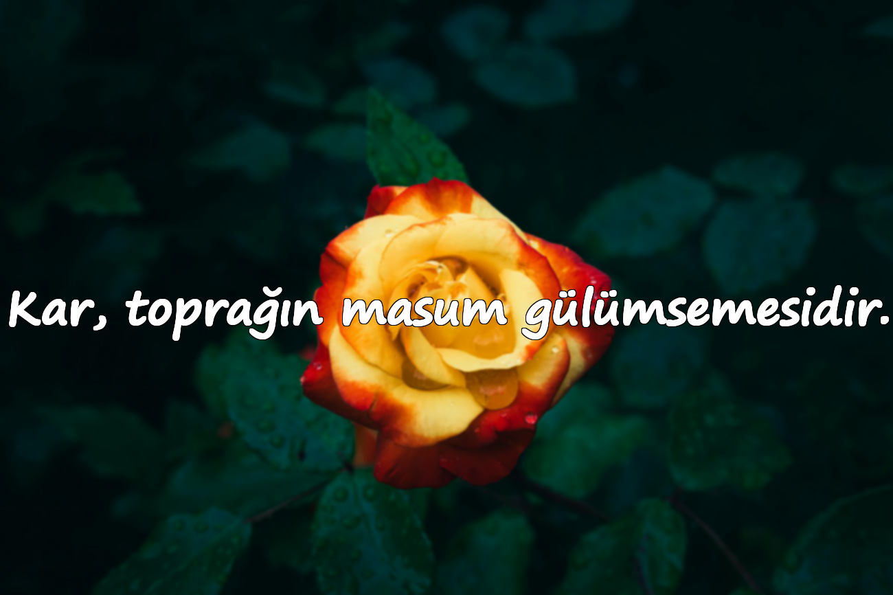 Kar, toprağın masum gülümsemesidir.