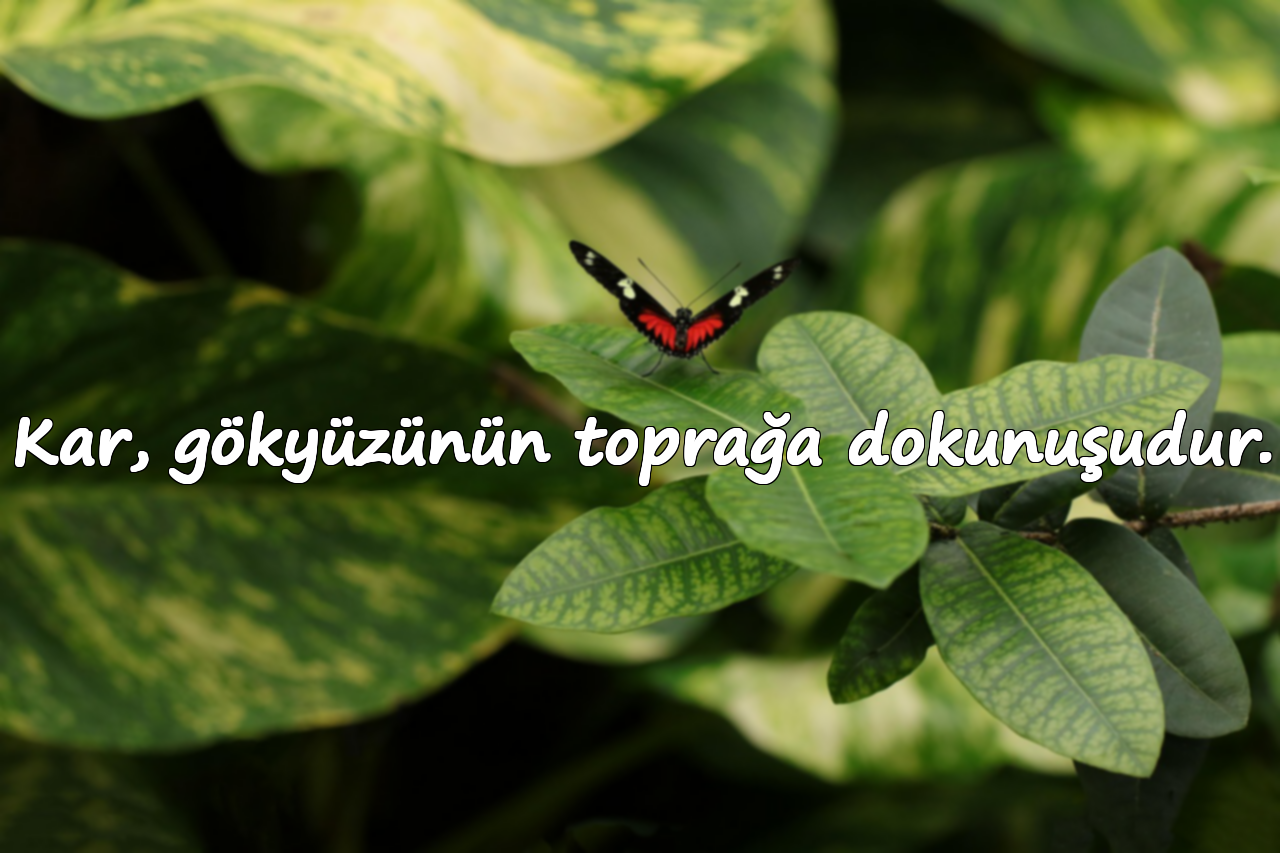 Kar, gökyüzünün toprağa dokunuşudur.