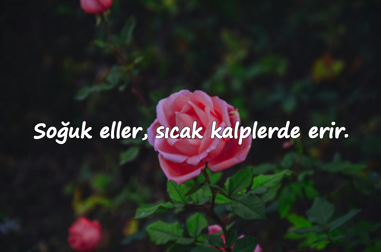 Soğuk eller, sıcak kalplerde erir.