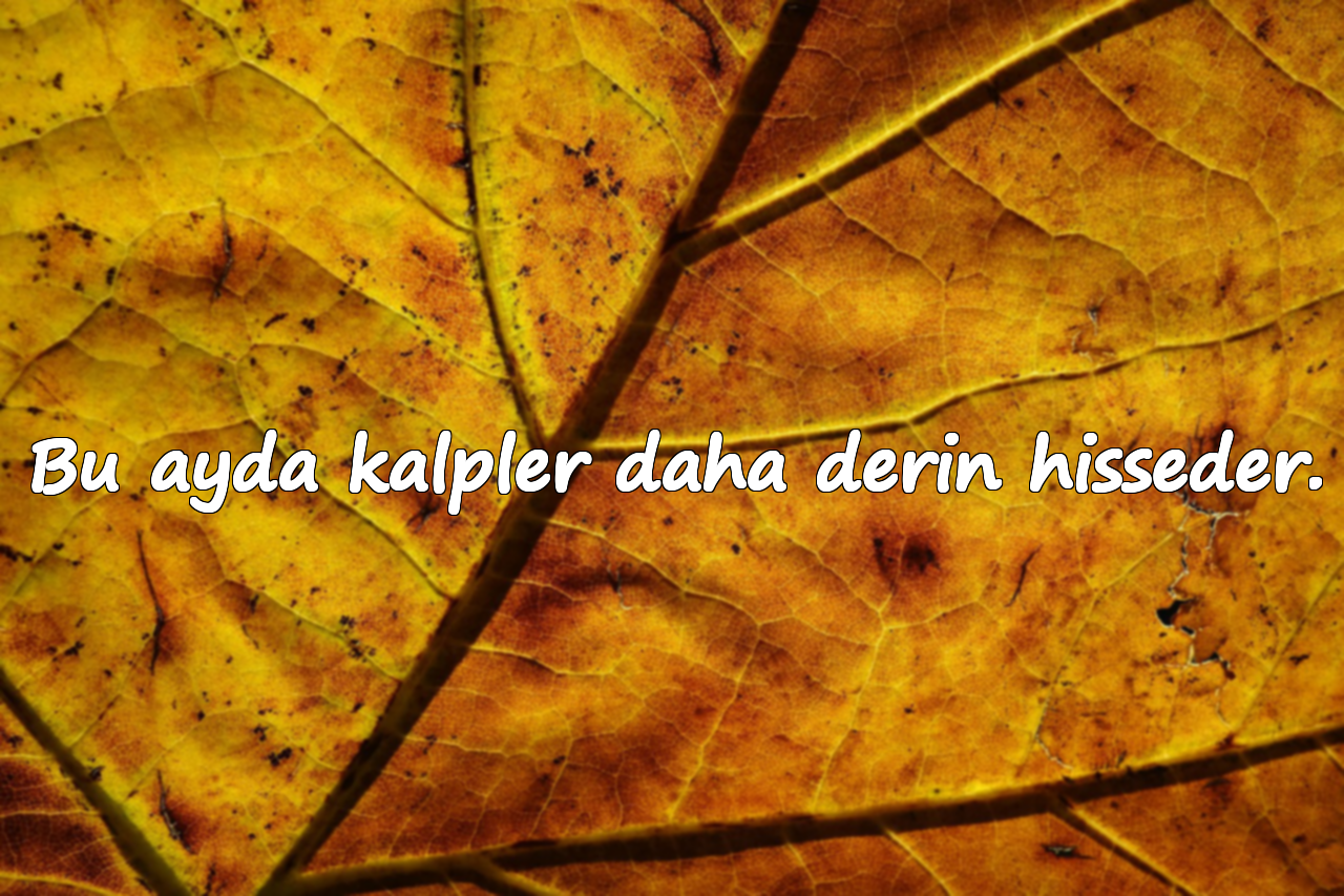 Bu ayda kalpler daha derin hisseder.