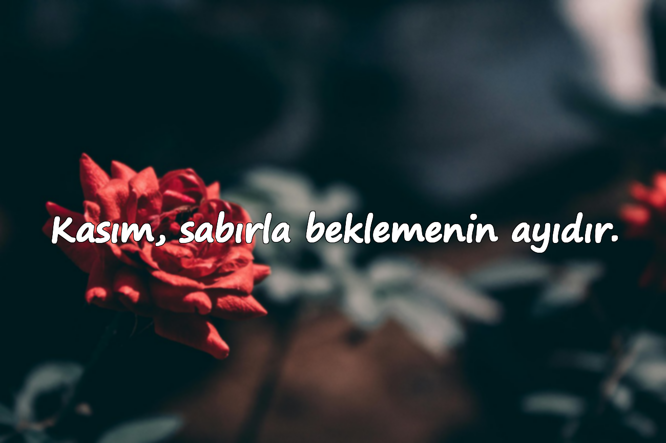 Kasım, sabırla beklemenin ayıdır.