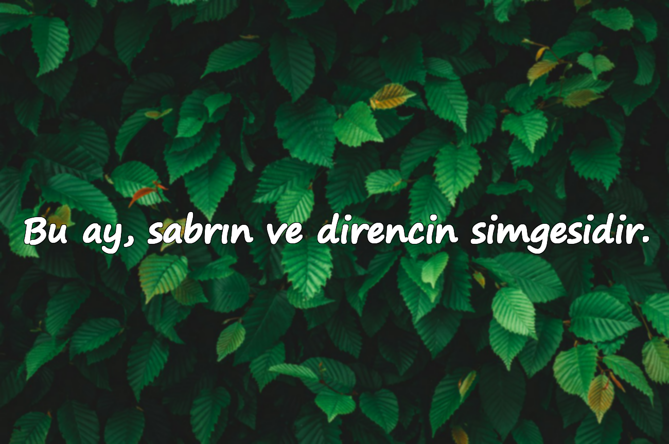Bu ay, sabrın ve direncin simgesidir.