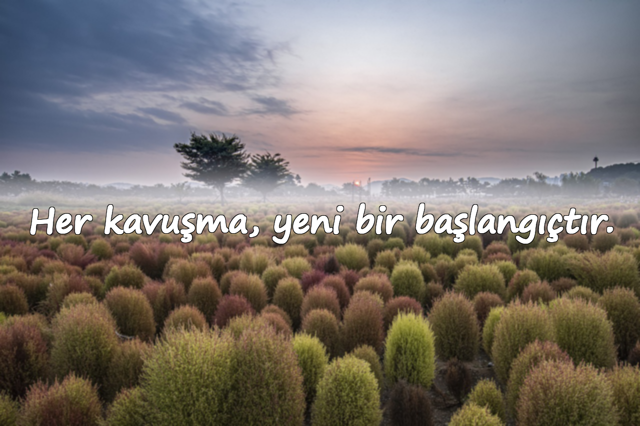 Her kavuşma, yeni bir başlangıçtır.