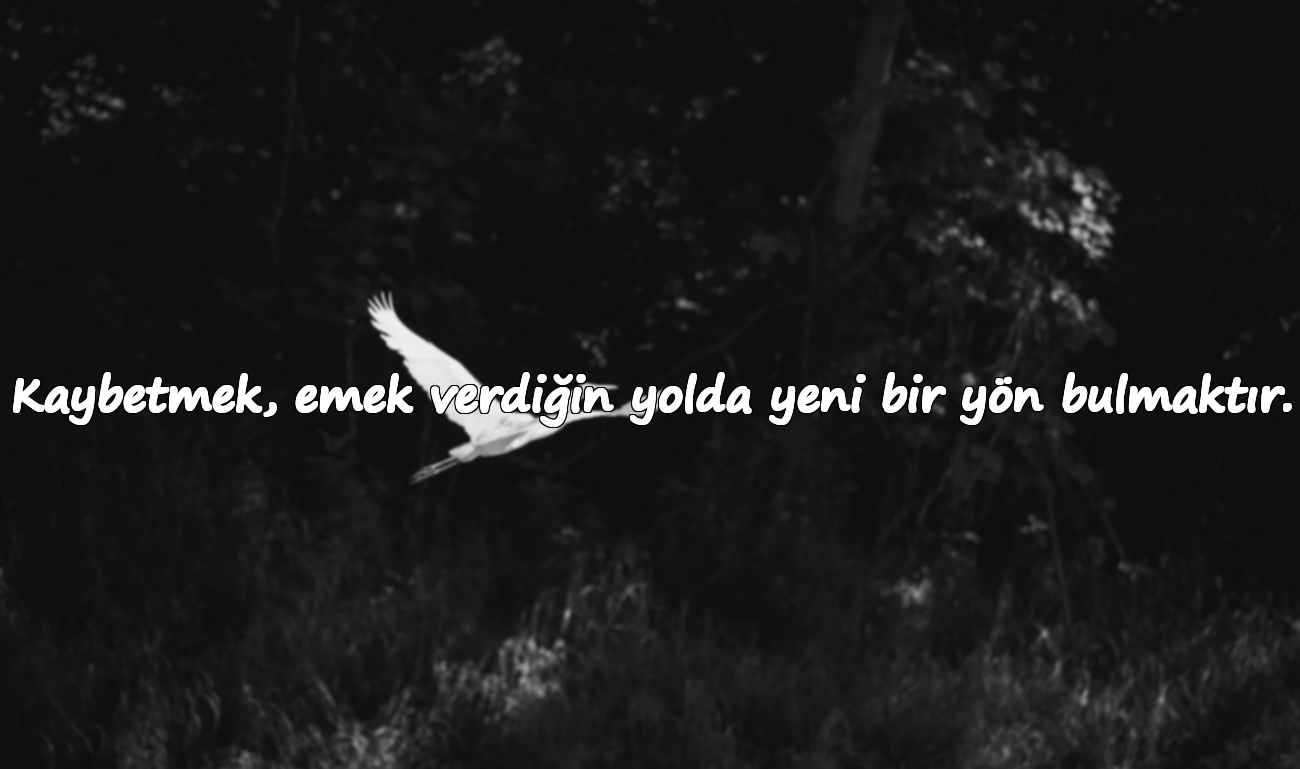 Kaybetmek, emek verdiğin yolda yeni bir yön bulmaktır.