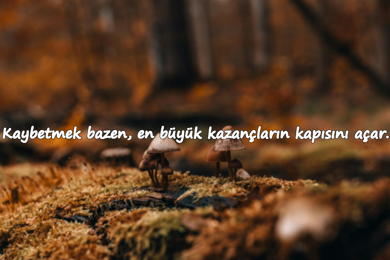 Kaybetmek bazen, en büyük kazançların kapısını açar.