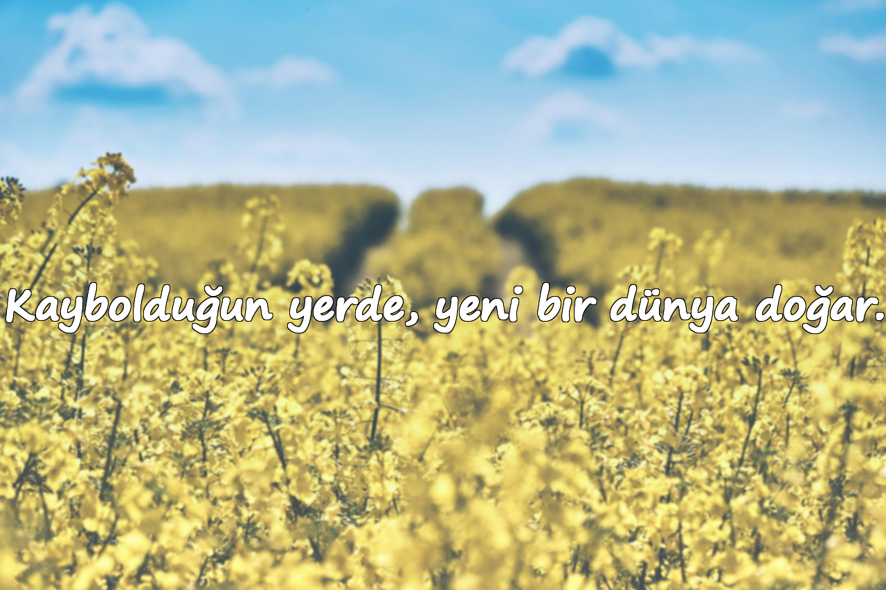 Kaybolduğun yerde, yeni bir dünya doğar.