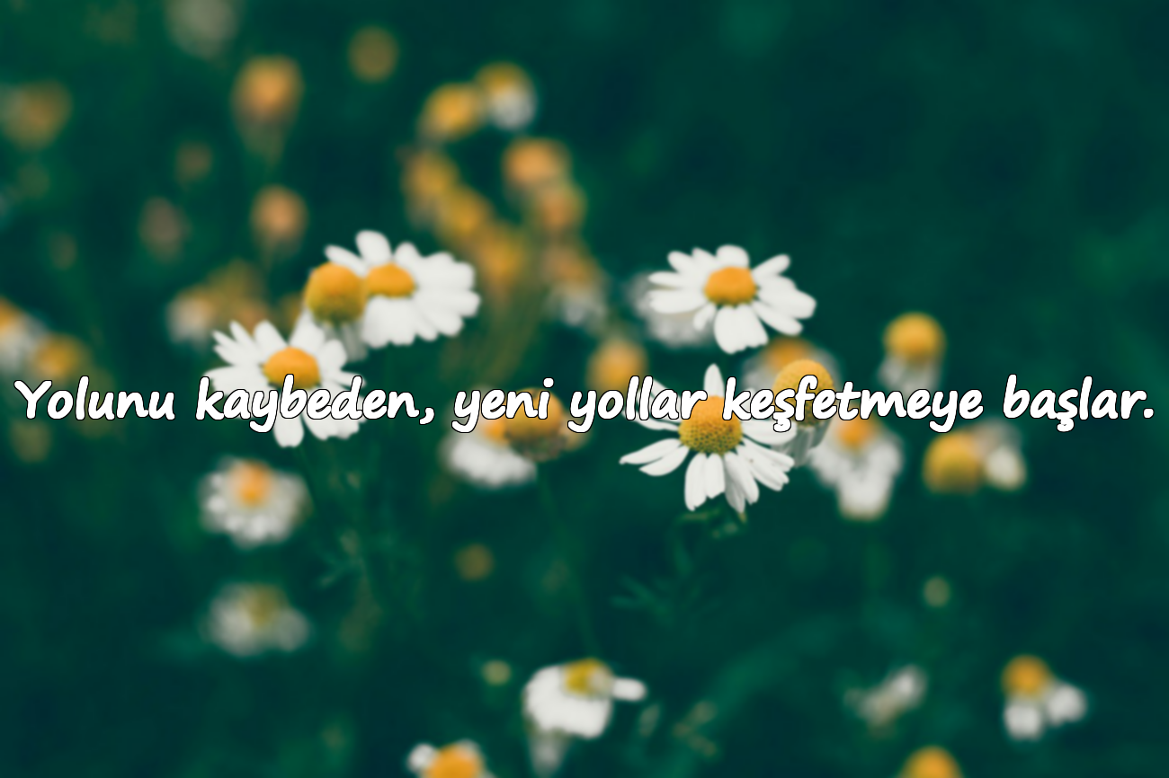 Yolunu kaybeden, yeni yollar keşfetmeye başlar.