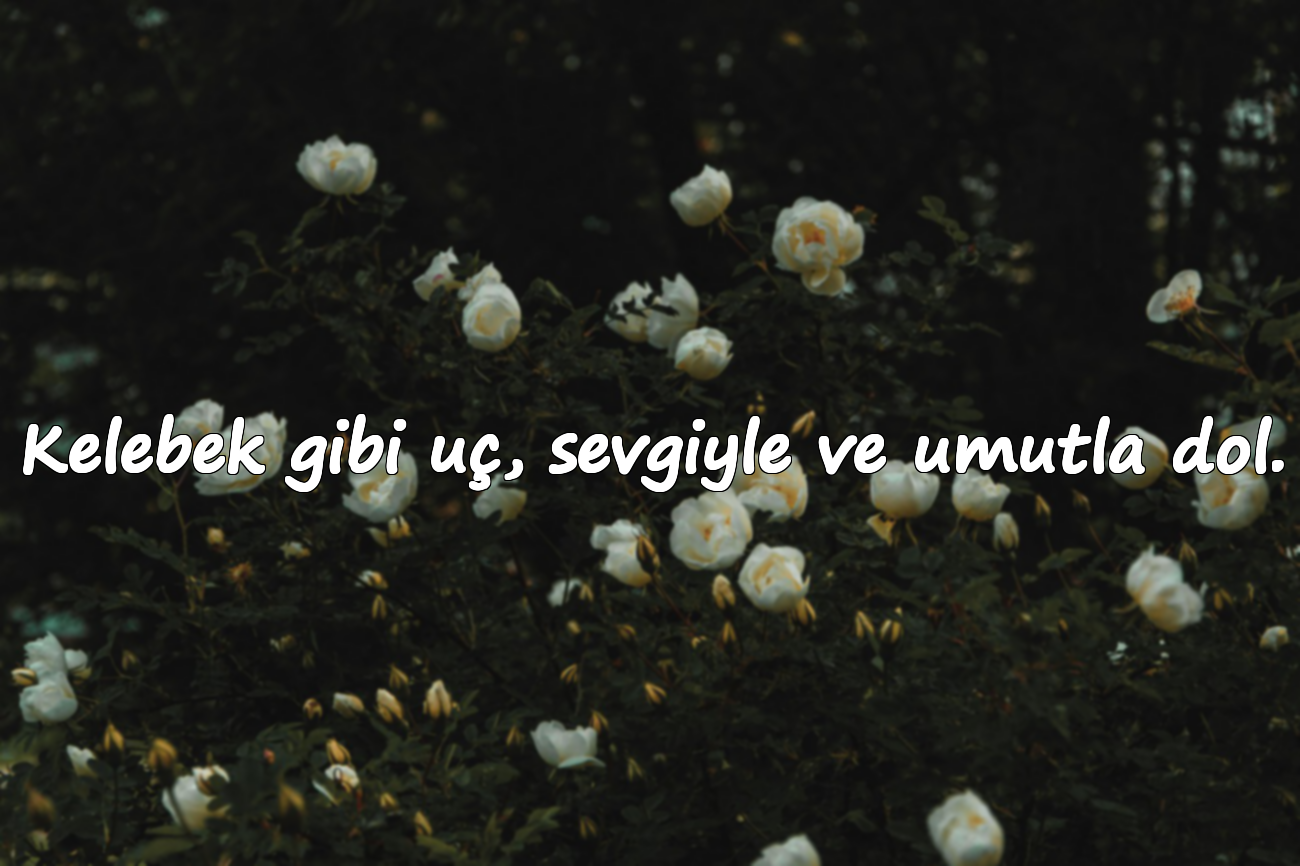 Kelebek gibi uç, sevgiyle ve umutla dol.